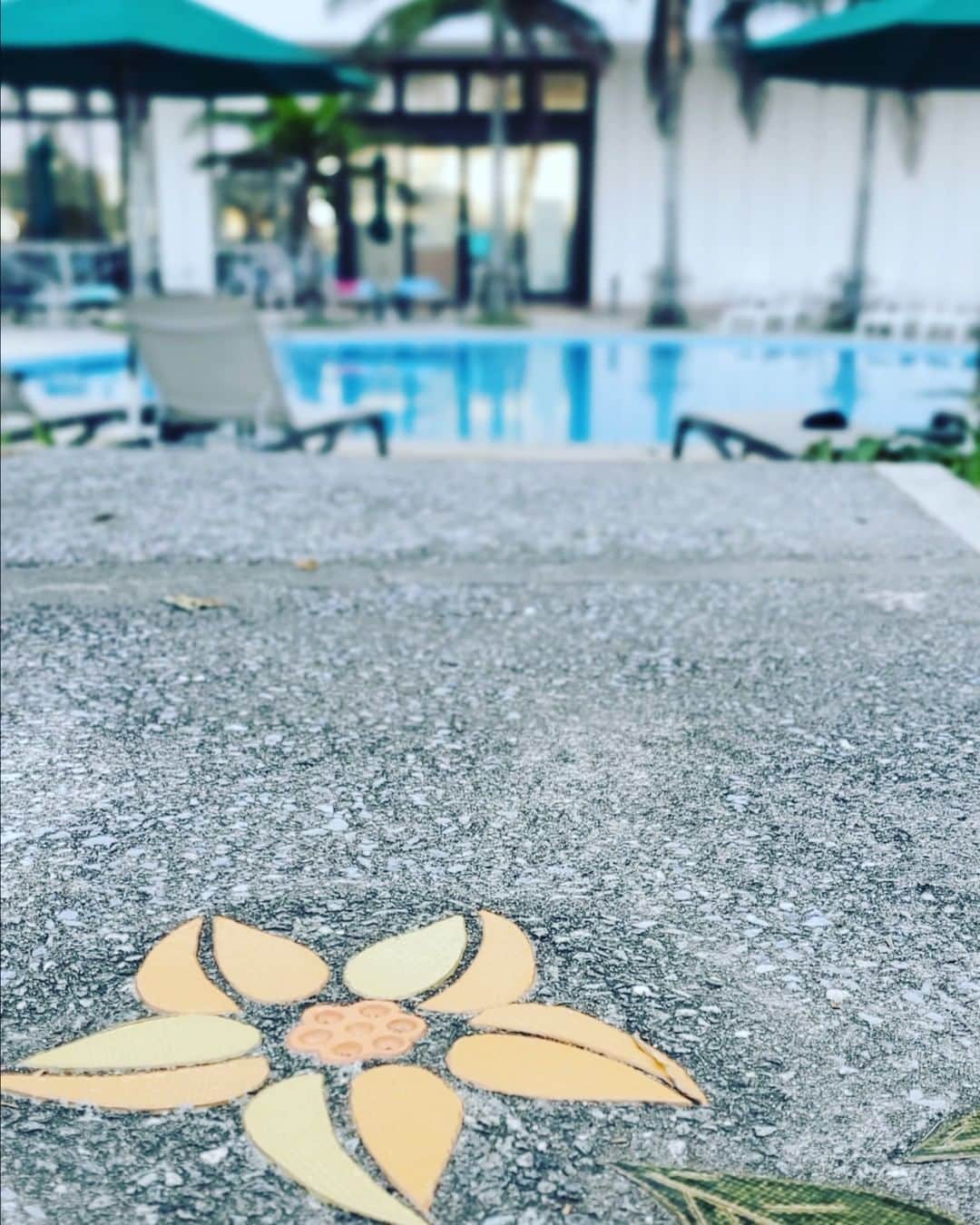 のインスタグラム：「プールサイドにある🌺タイルアート🌺 お散歩ついでに探してみてはいかがでしょうか😊✨  #サザンビーチホテルアンドリゾート沖縄 #サザンビーチホテル #沖縄 #おきなわ #糸満 #沖縄旅行 #沖縄ホテル #ホテルステイ #プールサイド #ホテル散策 #southernbeachhotel #southernbeachhotelandresoet #okinawa #okinawahotel #itoman」