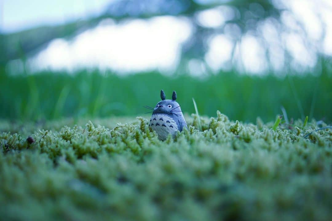 nqouのインスタグラム：「#となりのトトロ #トトロ #totoro #ジブリ #ghibli #nqouminiature」