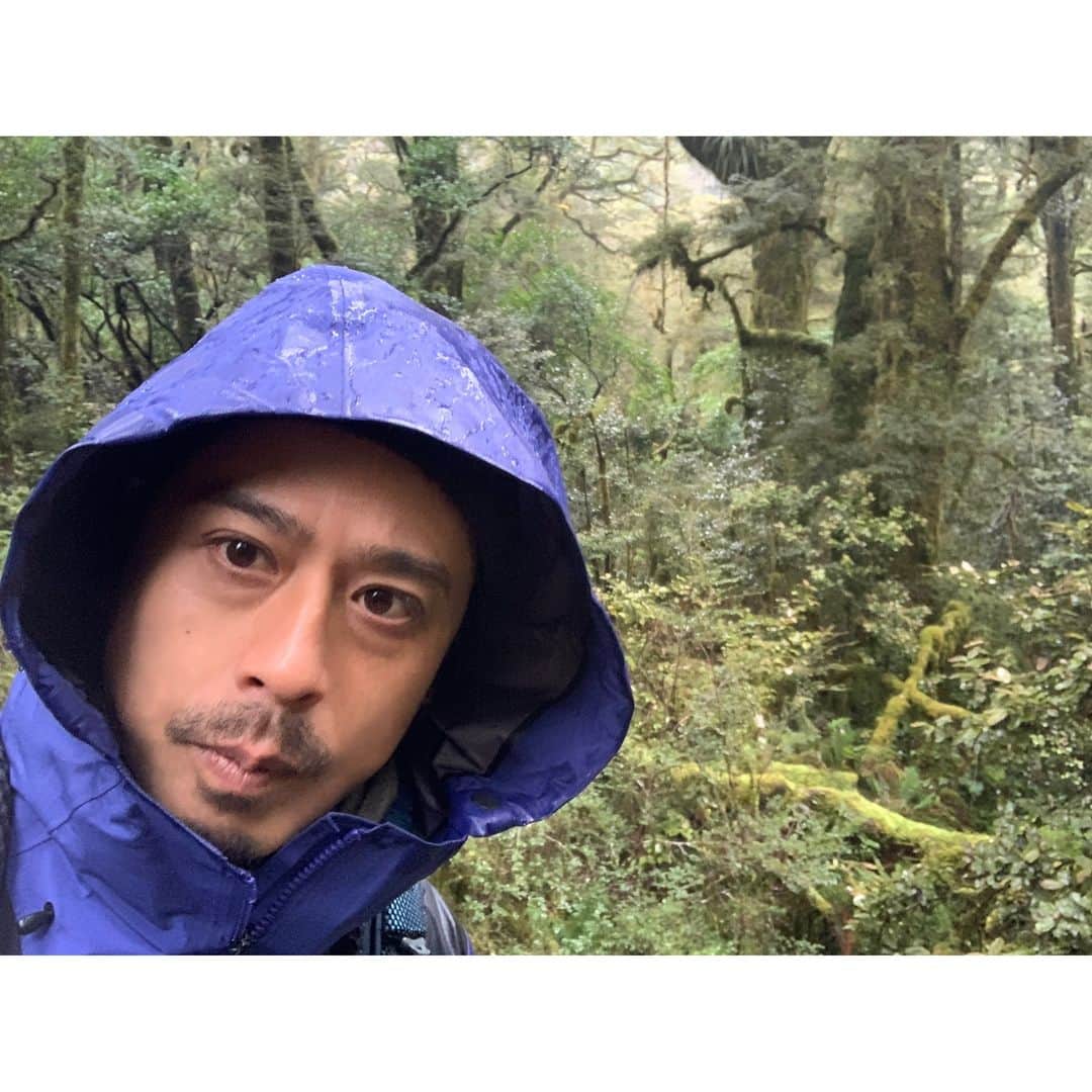 のインスタグラム：「. 皆さまこんにちは！ 森は天候が変わると表情が変わります。 色・香り・その周りで生活する動物たち。 地球は生きているんだなぁと実感する旅。 何事も人間目線ではなく、 「全ては自然からの贈り物」と考えると、 大雨の日も楽しく過ごせます。ナ #森の香りが出るテレビを開発したい！」