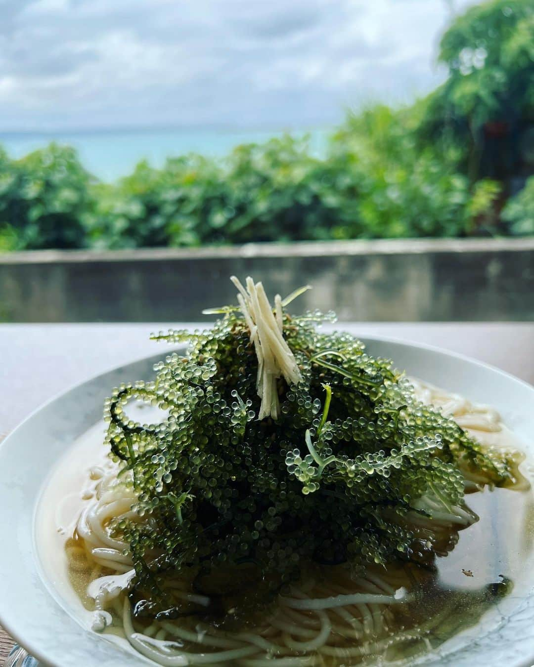 田村真子さんのインスタグラム写真 - (田村真子Instagram)「今日のラヴィット！でも出てきた馬場さんの宮古冷麺❣️本当に美味しいんです✨また食べたいなぁ… 私はまだ暑くなる前の春に行ってきました。 また行きたい！！」8月14日 12時07分 - tamura_mako_