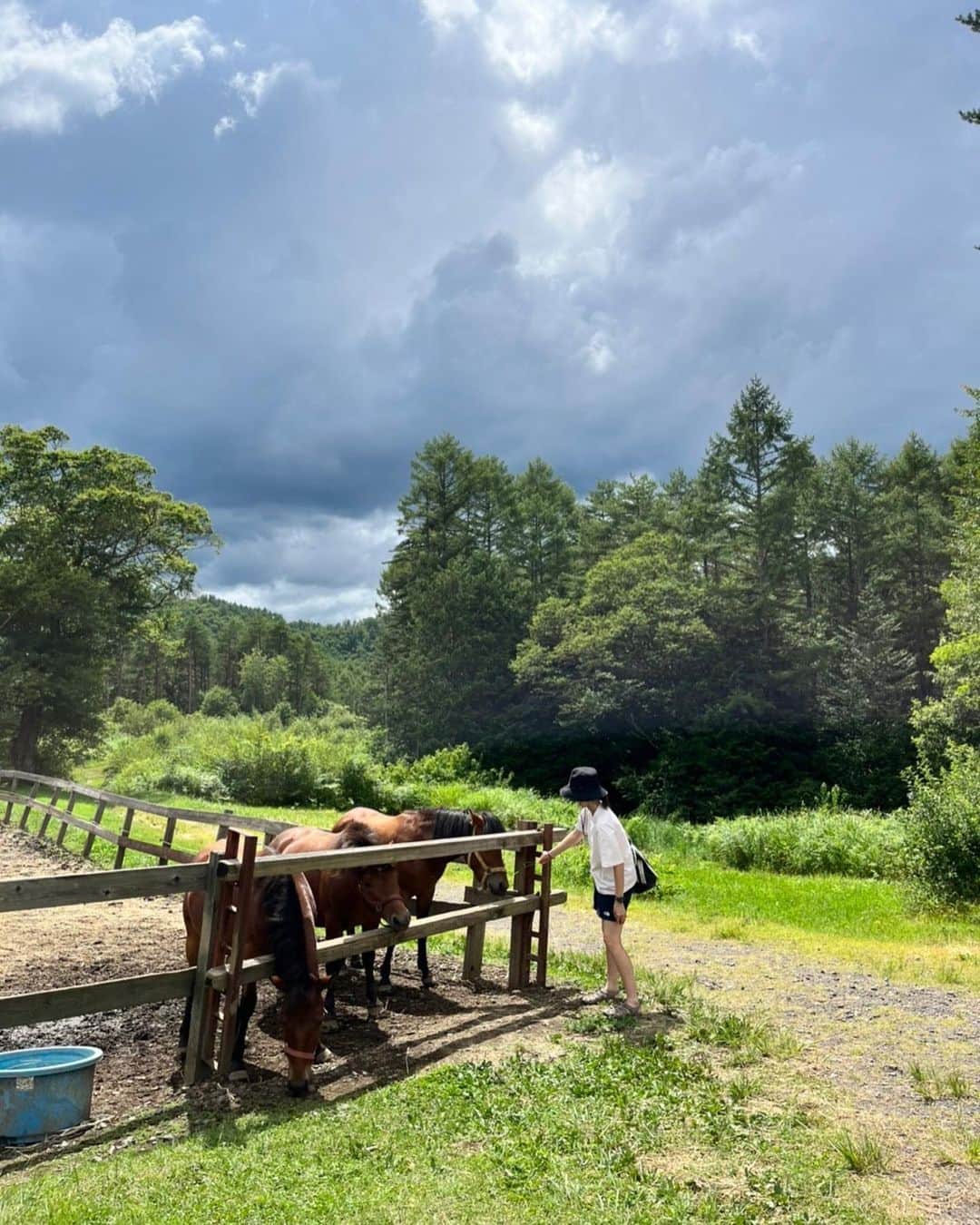 坂下千里子のインスタグラム：「夏休み。 . . #時差投稿 #時差スタグラム #馬 #hours #山と川#ソフトクリーム#🍦」