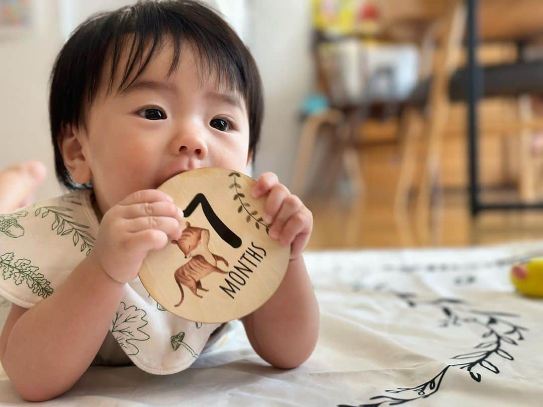 氷浦紫のインスタグラム：「#7monthsold  #7montshbabyboy 離乳食も始まり、後追いも凄くなり、日々成長しております。 感謝🙏   #babystagram  #Anniversaryphoto」