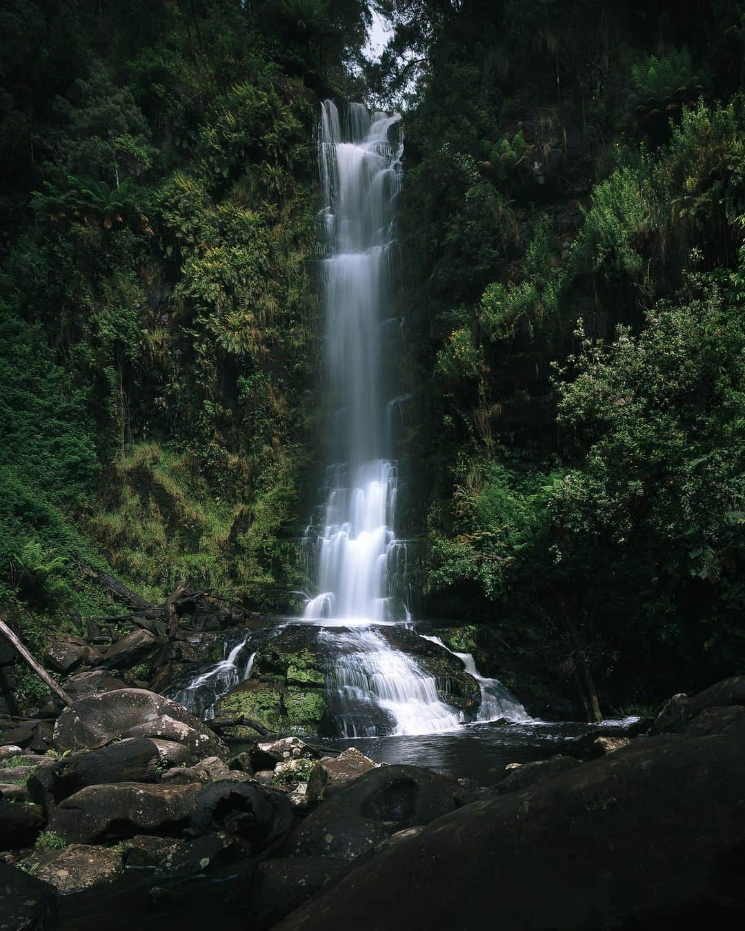 Nikon Australiaのインスタグラム：「@ads.pixels certainly knows his way around the mystical Otway's National Park in these scenic shots of Erskine Falls.   "While on a great ocean road photography trip capturing the beauty of the rocky seascapes, I wasn’t going to miss the opportunity of visiting the beautiful Otway's National Park just 13.5 km north up from the coast.   As a landscape photographer, the waterfalls and forests captivate my senses with their inspiring beauty. The majestic waterfalls are a constant source of inspiration for me!"  Photos by @ads.pixels   f/8 | 2 sec | ISO 100  Captured on the Z 6 and NIKKOR Z 14-30mm f/4 S  #Nikon #NikonAustralia #MyNikonLife #NikonCreators #NIKKOR #NikonZ6 #Z6 #LandscapePhotography #Waterfalls #Australia」