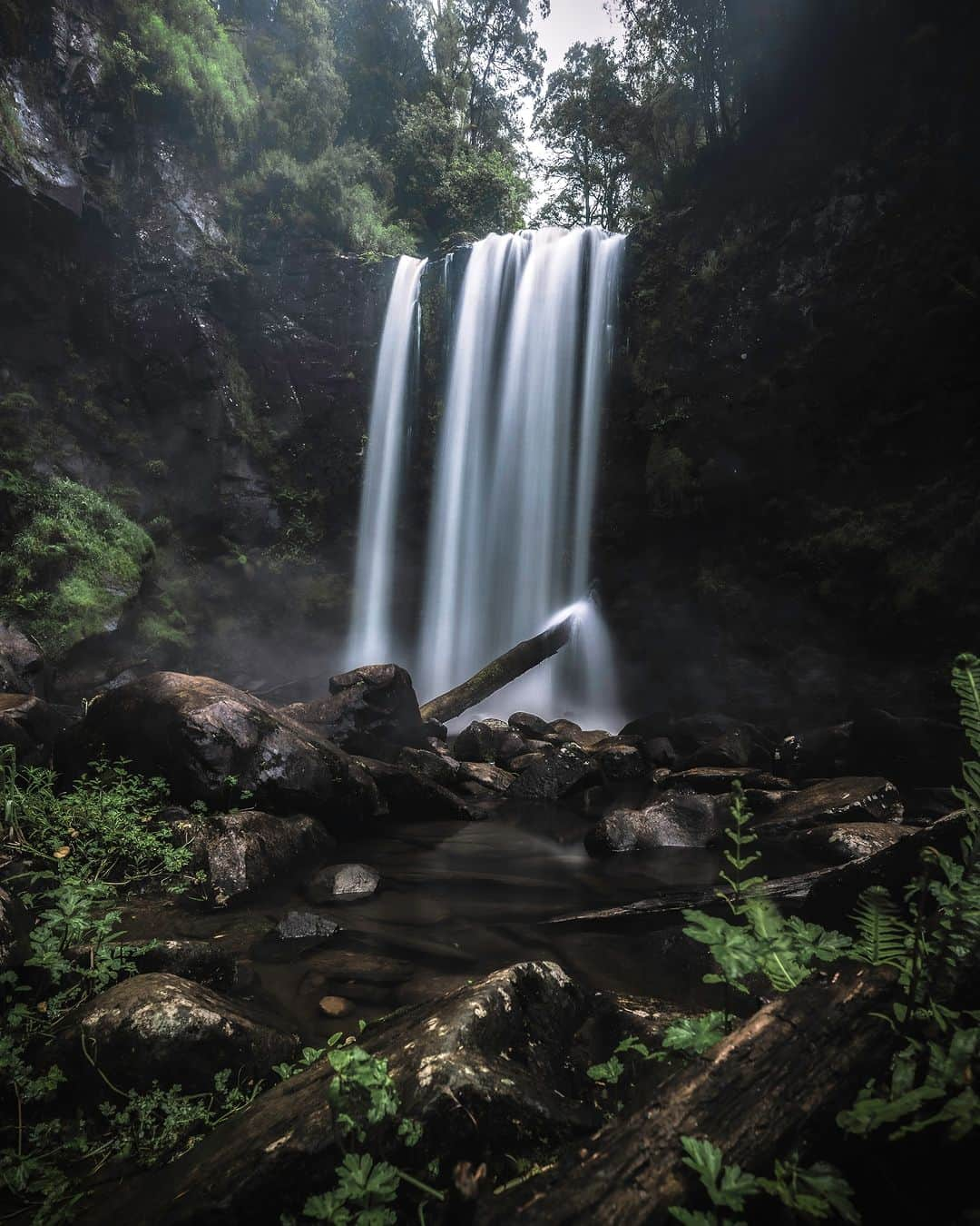 Nikon Australiaさんのインスタグラム写真 - (Nikon AustraliaInstagram)「@ads.pixels certainly knows his way around the mystical Otway's National Park in these scenic shots of Erskine Falls.   "While on a great ocean road photography trip capturing the beauty of the rocky seascapes, I wasn’t going to miss the opportunity of visiting the beautiful Otway's National Park just 13.5 km north up from the coast.   As a landscape photographer, the waterfalls and forests captivate my senses with their inspiring beauty. The majestic waterfalls are a constant source of inspiration for me!"  Photos by @ads.pixels   f/8 | 2 sec | ISO 100  Captured on the Z 6 and NIKKOR Z 14-30mm f/4 S  #Nikon #NikonAustralia #MyNikonLife #NikonCreators #NIKKOR #NikonZ6 #Z6 #LandscapePhotography #Waterfalls #Australia」8月14日 13時30分 - nikonaustralia