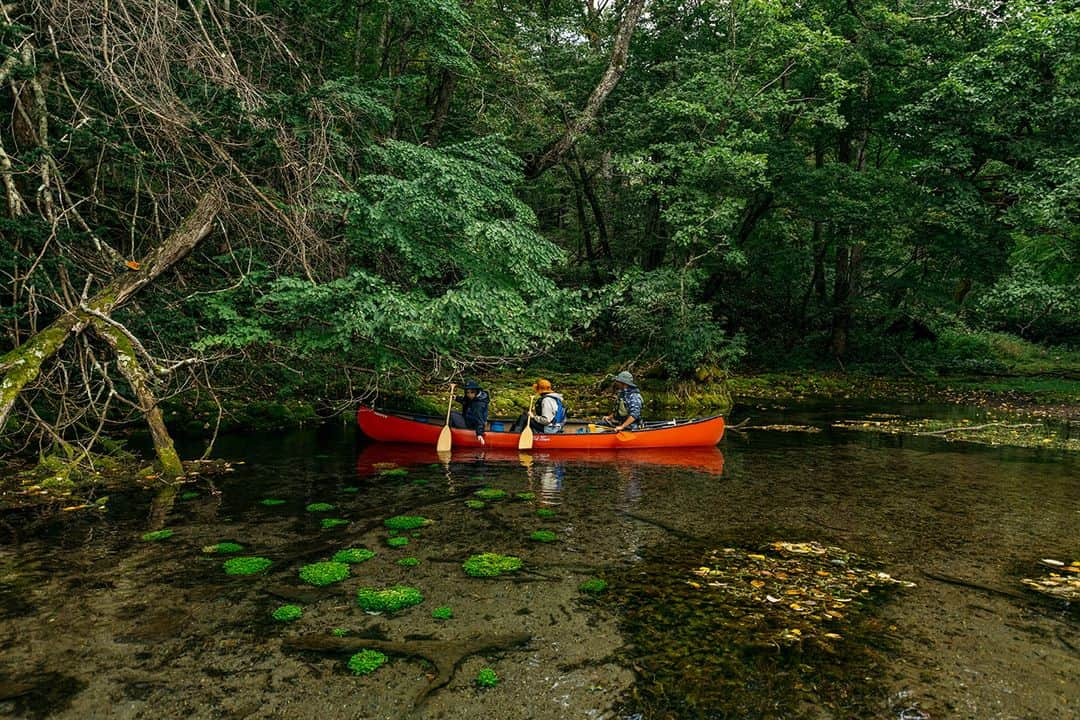 日本の国立公園さんのインスタグラム写真 - (日本の国立公園Instagram)「From adrenaline-pumping hikes to serene canoeing trips, Japan's national parks are made for adventure 🛶  Explore Japan's national parks at the link in the bio!  #Japan #Travel #Tourism #ExploreJapan #DiscoverJapan #VisitJapan #ChubusangakuNationalPark #AkanMashuNationalPark #NorthernAlps #Nagano #Kitahodakadake #MountHotakadake #Meakandake #Hokkaido #AkanMashu #MountMeakan #LakeKussharo #Kussharoko  #Hiking #Canoeing #AdventureTravel #UntouchedNature #NationalPark #NationalParksJP #日本 #国立公園」8月15日 12時00分 - nationalpark_japan