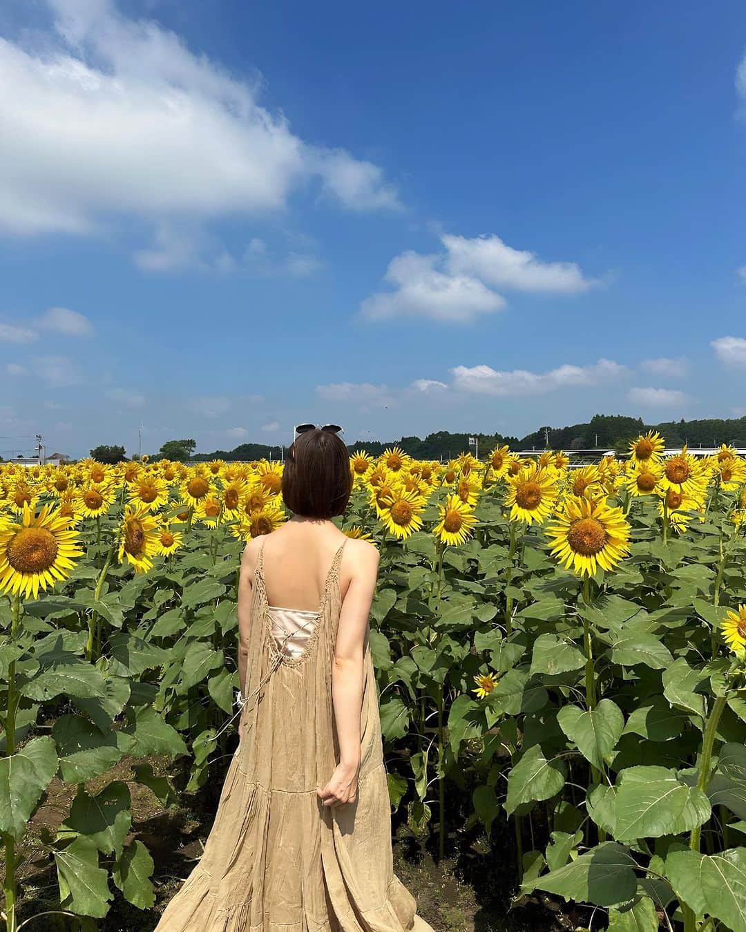 篠田麻里子のインスタグラム：「向日葵🌻  ONE PIECE @plage_jp  #九州」