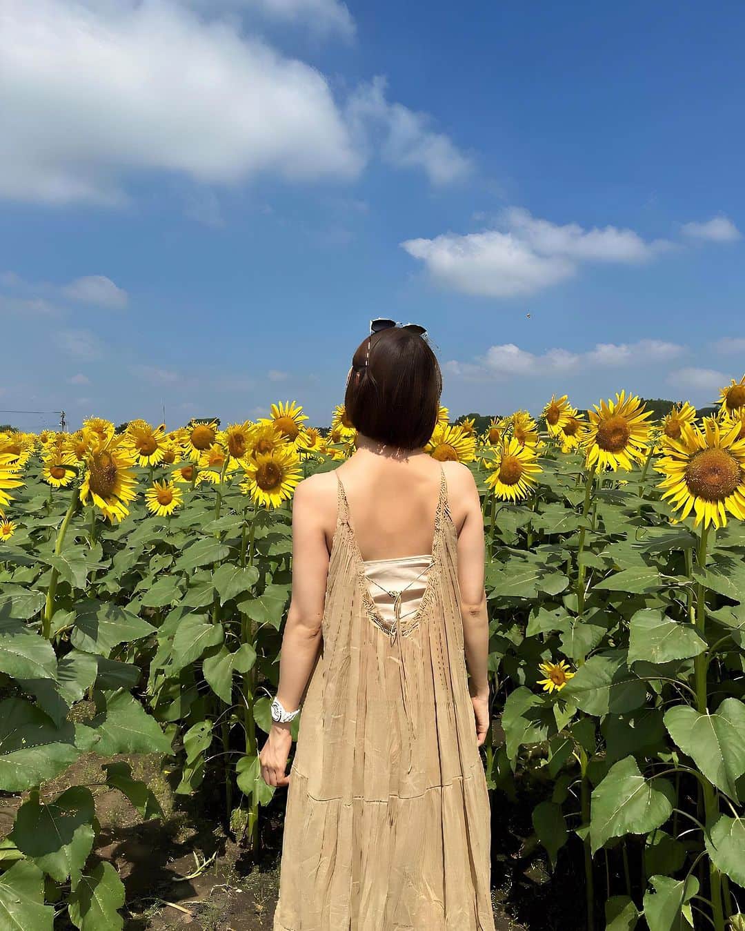 篠田麻里子さんのインスタグラム写真 - (篠田麻里子Instagram)「向日葵🌻  ONE PIECE @plage_jp  #九州」8月14日 14時51分 - shinodamariko3