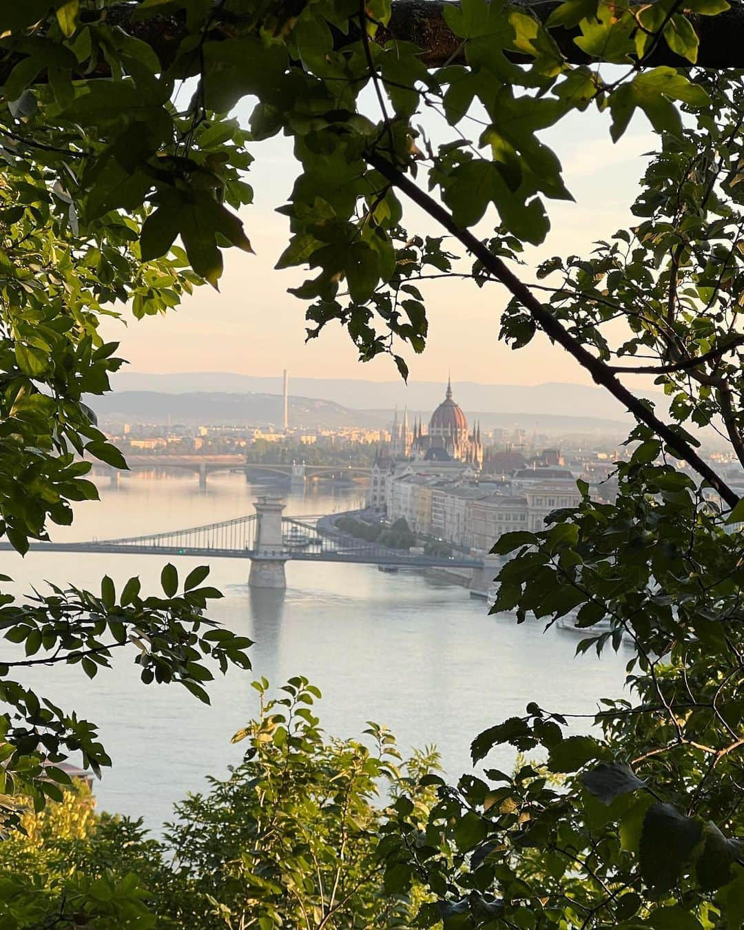 有森裕子さんのインスタグラム写真 - (有森裕子Instagram)「何処から観ても 美しい風景  朝霧が その景色を より魅力的に。」8月14日 15時48分 - arimori.yuko33