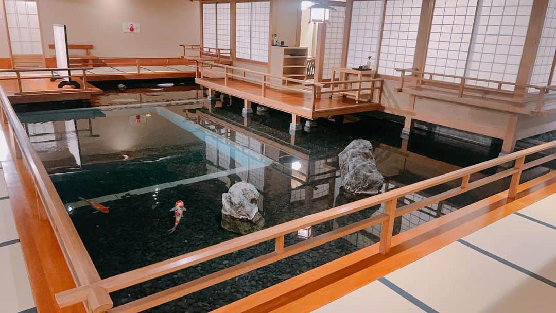 山口純のインスタグラム：「祖母に会いに鹿児島行ってきましたー!！ ご飯食べたり、PayPayじゃなくてPayどん　だったり PASMOもSuicaも使えなくパニックだらけでしたが、楽しかったです！  さて、東京帰ってまた頑張ります！！！」