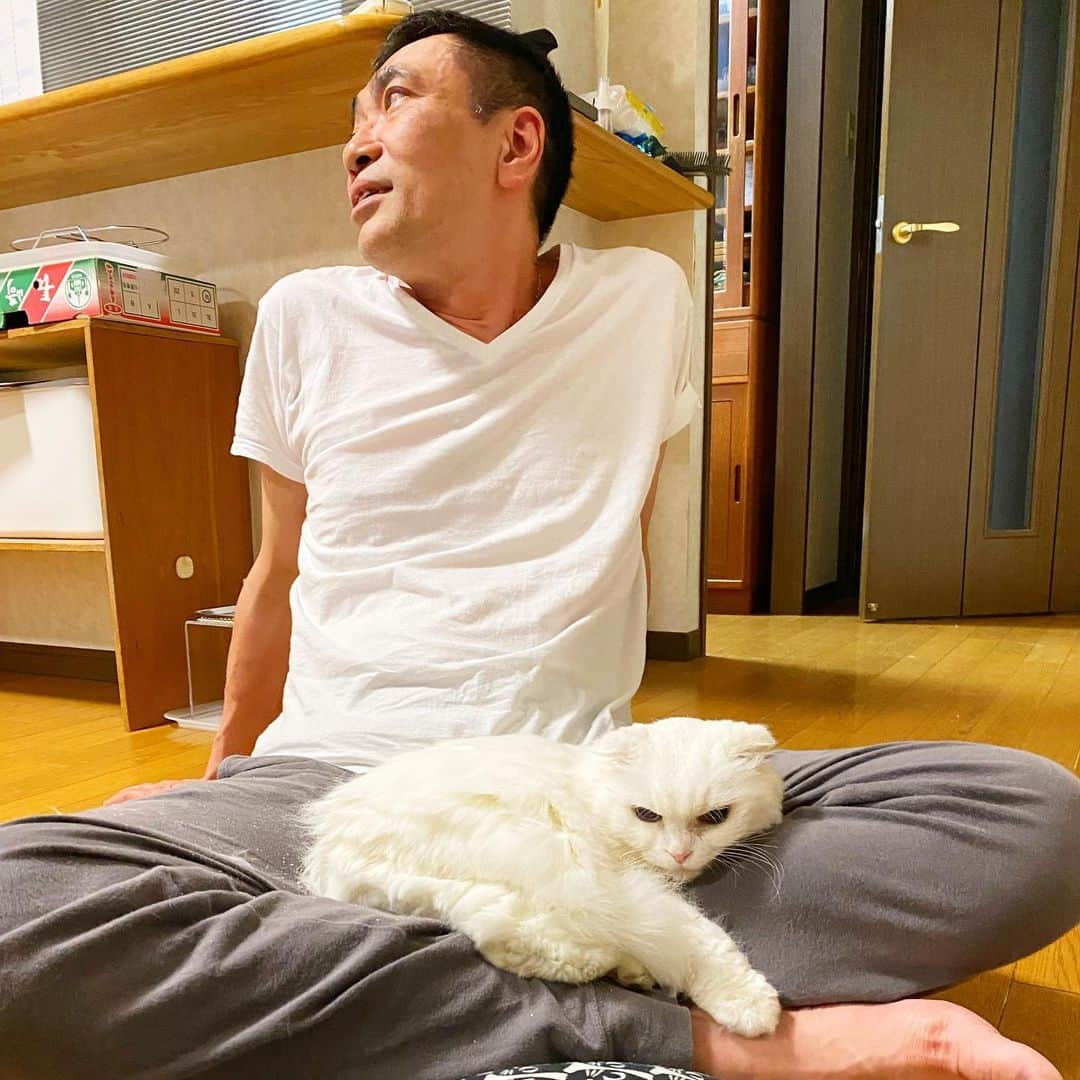 nemuru_catさんのインスタグラム写真 - (nemuru_catInstagram)「お盆ですので #不二子 #ルパン #次元 #春ちゃん #ごえもん #クラリス #銭形 #マモたん #眠る夫 * #ねこ部#cat#neko#猫#catsofinstagram#ねこのいるくらし」8月14日 17時11分 - nemuru_cat