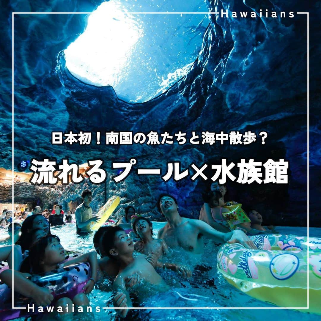 スパリゾートハワイアンズのインスタグラム：「ALOHA～🐠  ＼日本初！南国の魚たちと海中散歩？／ 流れるプール「フィッシュゴーランド」は色鮮やかな熱帯魚やサメなど約1,300匹の魚たちと、 まるで一緒に泳いでいるような感覚が楽しめます。  お子様の視線は水槽の魚たちに釘付け👀  今年の夏は流れるプールに身をあずけ、冒険旅行をお楽しみください🐬  #スパリゾートハワイアンズ #sparesorthawaiians #ハワイアンズ #hawaiians #プール #スパ #福島県 #福島観光 #福島旅行 #流れるプール」