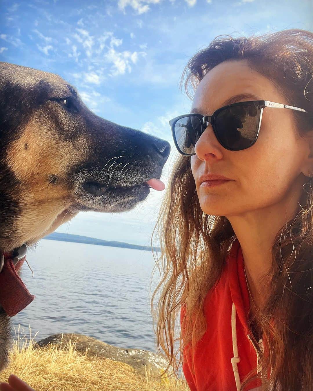 サラ・ウェイン・キャリーズのインスタグラム：「caption it?」