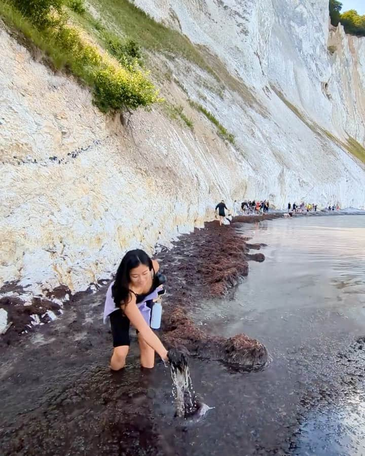 大野南香のインスタグラム：「* Camping in Møn  Such a beautiful island❤︎  I will never forget the smell and feel of the huge amount of seaweed under the cliffs.  Mønっていうコペンハーゲン市内から1時間ちょっとの島に行ってキャンプ🏕弾丸だったからこそのハプニングや出会いに恵まれた☺️  Møn Klint っていう崖の下に 大量の海藻があって そこを通らないと進めない道だったから みんなヒーヒー言いながら腐りかけの海藻の上を歩いてた 香りもすごかった。 忘れられない海藻の想い出ができた😀  #everydayhappy � ☺︎」