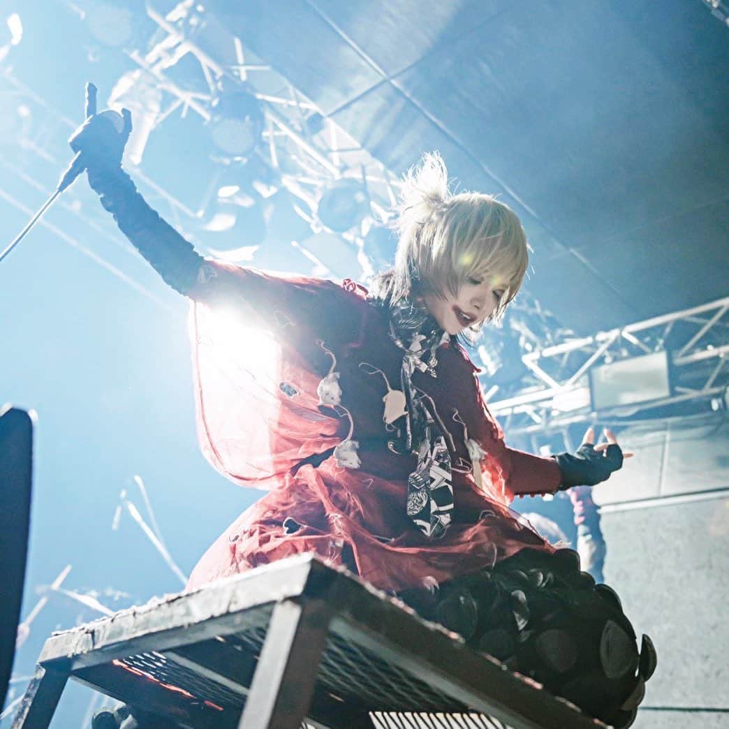 マヨイ・ディスコニックのインスタグラム：「photo by @cka.livephoto」