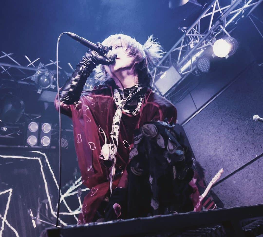 マヨイ・ディスコニックのインスタグラム：「photo by @cka.livephoto」