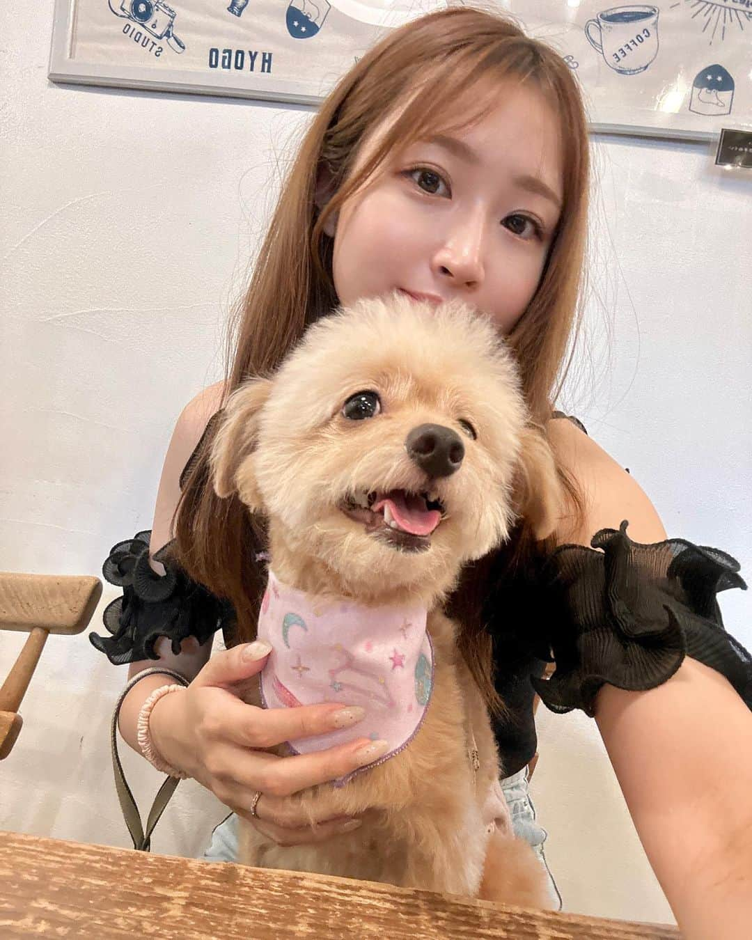 村上文香さんのインスタグラム写真 - (村上文香Instagram)「. なかよし🐶🤍  最近暑くてお出かけできてなかったから 店内わんこOKのお店ありがたすぎる🥹 居心地もいいしご飯も美味しいしで 食後のデザートまで追加した😳笑  #西宮カフェ #西宮ランチ #西宮グルメ  #犬カフェ #兵庫グルメ #ぷぅとおでかけ」8月14日 20時35分 - ayakamurakami_official