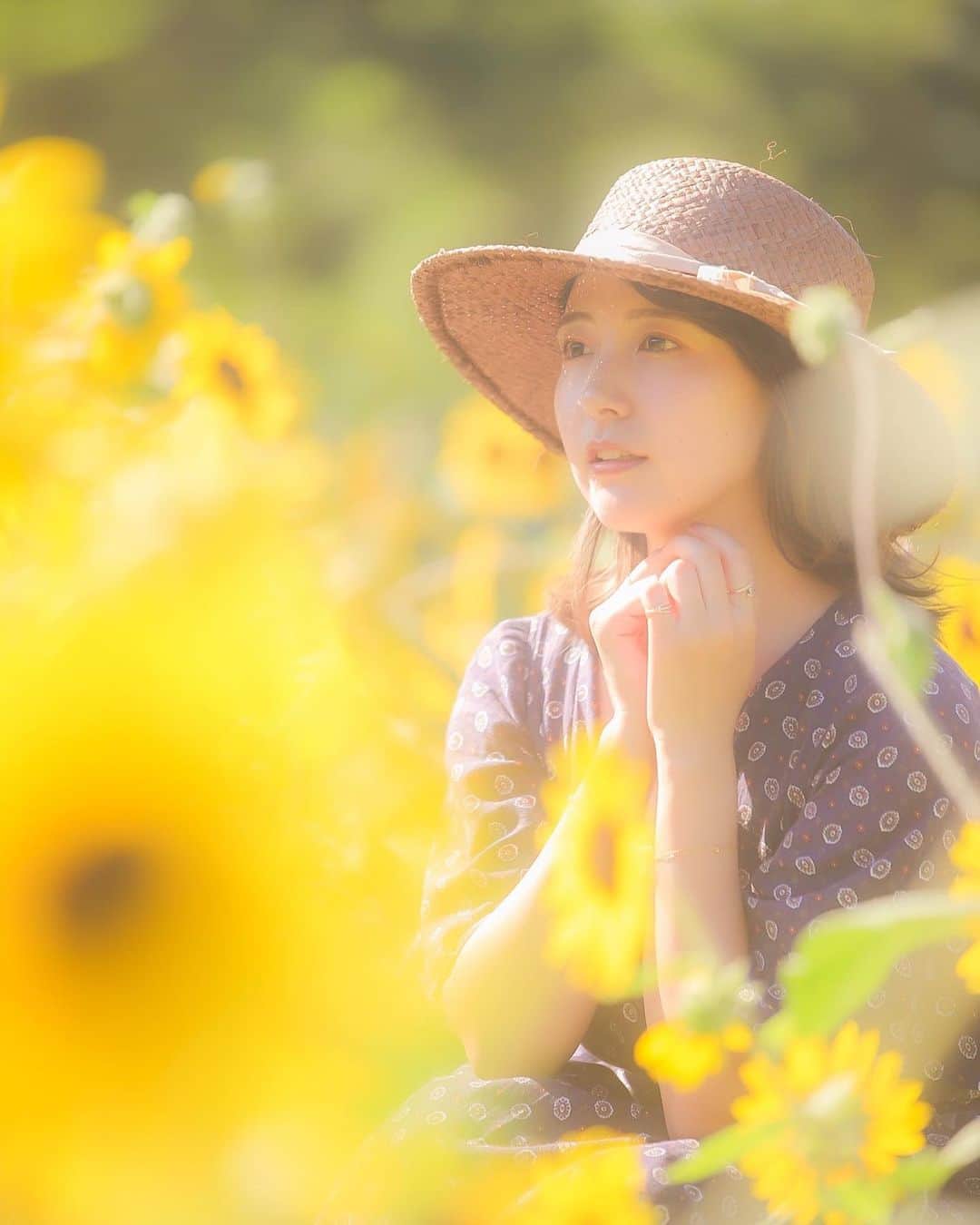 橋本香澄さんのインスタグラム写真 - (橋本香澄Instagram)「. 思い出した時に 苦しくなるくらい愛されたい 　　 🌻 . #sunflower #ひまわり畑  #ポートレート #撮影会」8月14日 20時50分 - _jasmine_tete_