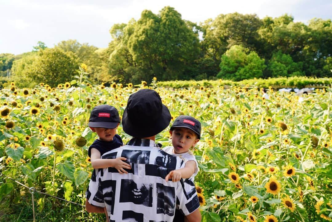 山中亮輔さんのインスタグラム写真 - (山中亮輔Instagram)「Our hometown🌻  #長居公園 #長居公園植物園  #ひまわり畑 #ひまわり  @rikureogram」8月14日 20時59分 - yamanaka_ryosuke24