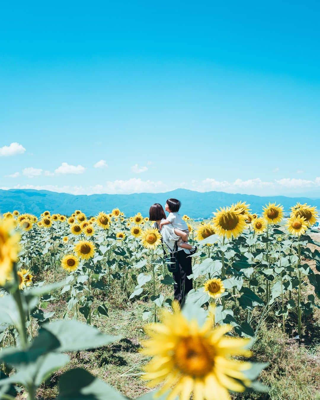 Kobe Japan Water artのインスタグラム：「Summer memory🌻」