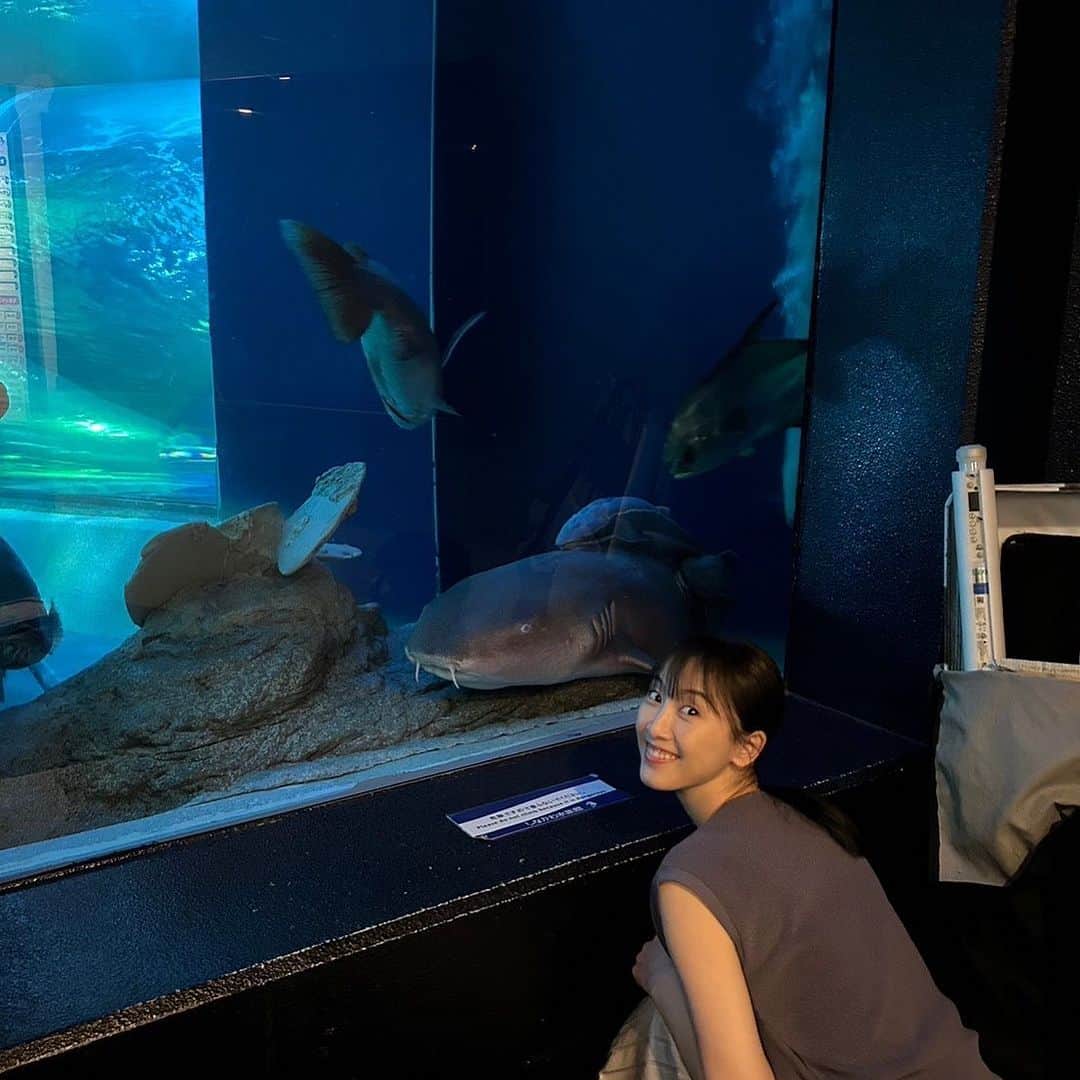 松井玲奈のインスタグラム：「『 #やわ男とカタ子 』本日2話が放送になります！ 擬似デートしにきたと思いきや波乱の展開！ 恋の予感？！と思いきやこれまた波乱の展開！ しながわ水族館でのロケは、魚たちをぼんやり眺めてリラックスタイムでした。」