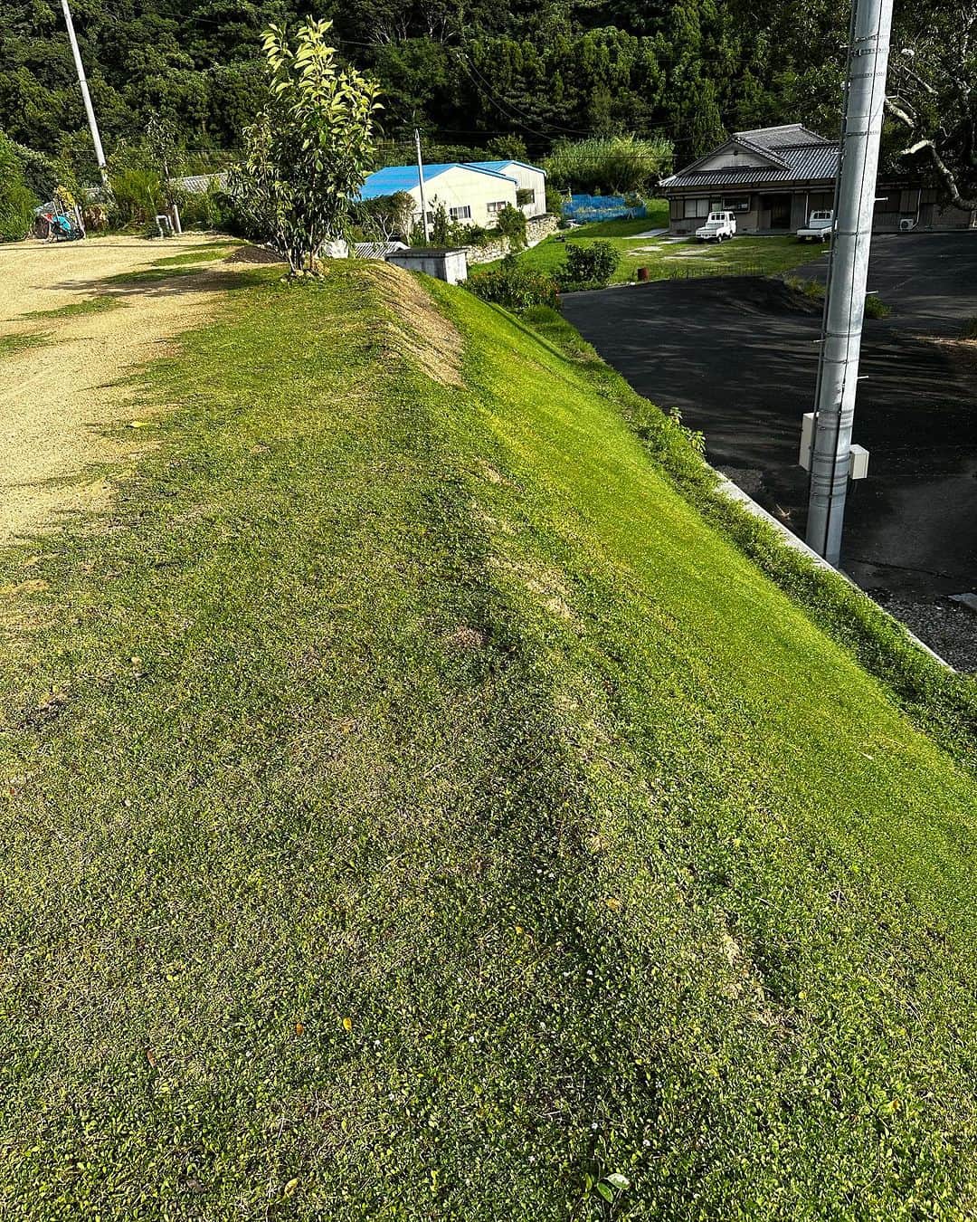 Utsuさんさんのインスタグラム写真 - (UtsuさんInstagram)「おとなりさんからスイカ🍉もらった日。毎日草むしりしているウチのお庭をどうぞ。 #ヤバい素人盆栽 #室手海岸 #愛媛県愛南町」8月14日 21時20分 - 3utsu
