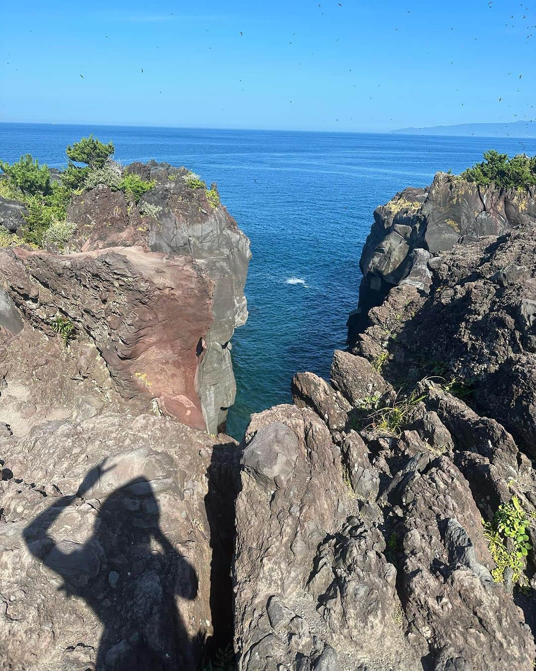 浅井麻里さんのインスタグラム写真 - (浅井麻里Instagram)「🌊城ヶ崎海岸🌊 ⁡ 静岡県/伊東市の絶景スポット✨ ⁡ 城ヶ崎海岸の断崖絶壁🌊 ⁡ こんな崖のすれすれまで行けるようになってるの びっくり！すごい！✨😳 (撮影：お父さん) ⁡ 高いとこ大好き人間だからテンション上がった❤️← 波の音や風が気持ちよかったー！！ ⁡ 鳥めっちゃ苦手だから鳥の大群の方に ビビってたわたし🤣 ⁡ ⁡ #城ヶ崎海岸 #伊豆観光 #伊豆観光スポット #城ヶ崎 #静岡観光 #静岡観光スポット #伊豆 #静岡 #伊東 #伊東観光 #伊東旅行 #タビジョ #旅ライター #トラベルライター #国内旅行 #伊豆半島 #たびすたぐらむ #絶景 #絶景スポット #retrip_nippon #旅スタグラム #断崖絶壁 #断崖絶壁の絶景」8月14日 21時17分 - mari_asai_625