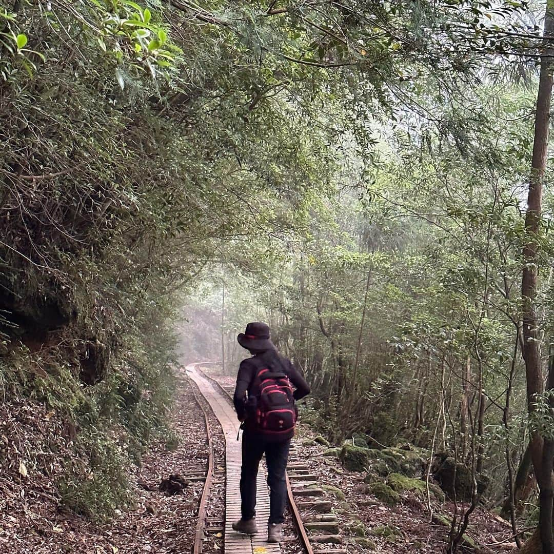 宇田恵菜さんのインスタグラム写真 - (宇田恵菜Instagram)「Yakushima Jomonsugi Trip 2 朝6:00から歩き始めて、だいたい往復10時間は最低かからと言われていて、11時前後の縄文杉の到着を目指しましたが、1時間は早く着き、のんびり登山弁当食べるとことができました！  変わった木とか、私は苔が好きだから、苔のいろんな植物みたりして、香りと木の感じを存分に楽しめた!  そして23km,休憩はぶいて6時間46分歩き続けまして、往復9時間で終了！ ちょうど最後30分は雨が降ってきたので、早めに下山して正解でした✨ あの時は、あーーー長いなーと思ったトロッコ道も、2ヶ月経った今は、もう平気になって、また行きたいと思ってる。次は山や崖の上を登りたいなー。てね！ ------------------------------- #casting  #actress #shortfilm #キャスティング  #役者  #filmingcrew #filming #撮影中 #撮影クルー #leadactress #女優 #actresslife #スチール撮影 #黒髪 #blackhair 　#愛媛出身 #不動産女子 #japaneseactress  #屋久島旅　#屋久島観光　#縄文杉」8月14日 21時17分 - ena2727