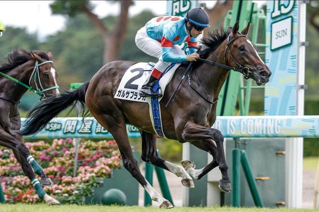 クリストフ・ルメールのインスタグラム：「ガルサブランカが兄エクイノックスの足跡をたどり、新潟競馬場で見事勝利 #エクイノックス #JRA  Garza Blanca following in big brother Equinox’s footsteps with an impressive victory at Niigata Racecourse #Equinox #JRA」