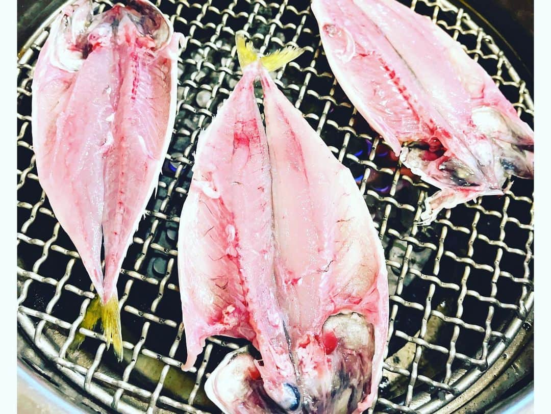 福士誠治さんのインスタグラム写真 - (福士誠治Instagram)「#釣り #船釣り #アジ釣り #アジフライ #アジのなめろう #福士誠治  初の船に乗っての釣り うーん 少し船酔いも体験したけどめちゃくちゃ楽しい時間でした。 自分で釣った魚を食べる。  これ人生の醍醐味。  ありがとう自然」8月14日 22時04分 - seiji_fukushi