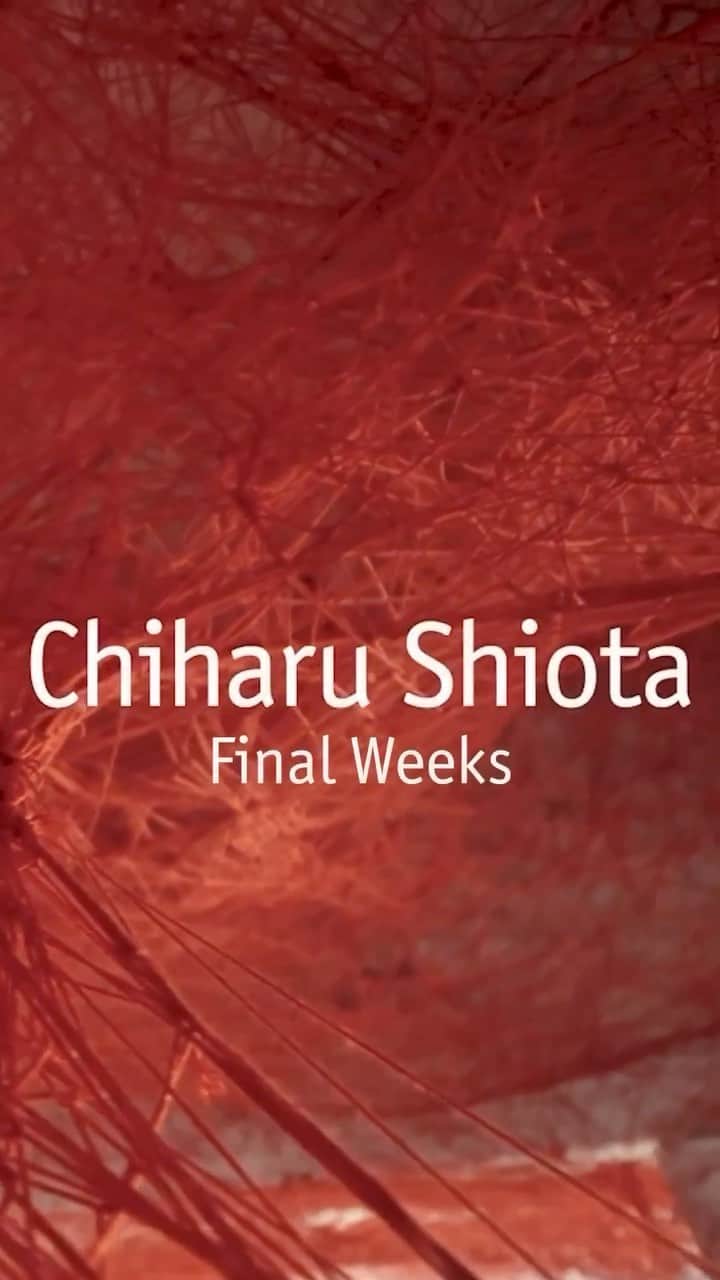 塩田千春のインスタグラム：「#repost @hammer_museum Final weeks! Chiharu Shiota @chiharushiota created a meticulously webbed wonderland in our lobby with over 800 lbs of red yarn.   Envelop yourself in this unique and visceral installation before it's gone! The last day to see it is Sunday, August 20th.」