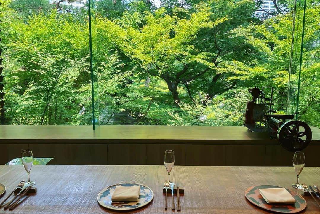 八芳園さんのインスタグラム写真 - (八芳園Instagram)「都会の喧騒から離れ 美しい日本庭園とともに ごゆっくりと、こだわりの お料理を愉しむ「ENJYU」。  この時期、店内からは 窓一面に青々とした美しい緑を 臨むことができます。  @restaurant_enjyu   ———————————–  《夏季休業のお知らせ》 「八芳園本館」「RESTAURANT ENJYU」は、8月7日(月) 〜 8月17日(木)を夏季休業期間とさせていただきます。 各店舗の休業期間につきましてはハイライトをご確認ください。  ———————————–  🍽🍃🍽🍃  #八芳園 #happoen #港区 #白金台 #コース料理 #記念日ディナー #ディナー #フルコース #ワインペアリング #ワイン好き #ENJYU  #白金台グルメ #グルメ好きな人と繋がりたい #美食 #記念日 #東京グルメ #ディナーデート #デートプラン #デートにオススメ #カウンター #個室  #tokyotrip #tokyo_dinner #グルメスタグラム #東京グルメ #グルメ巡り #グルメ好きな人と繋がりたい #foodie #foodstagram #deliciousfood」8月14日 22時11分 - happoen