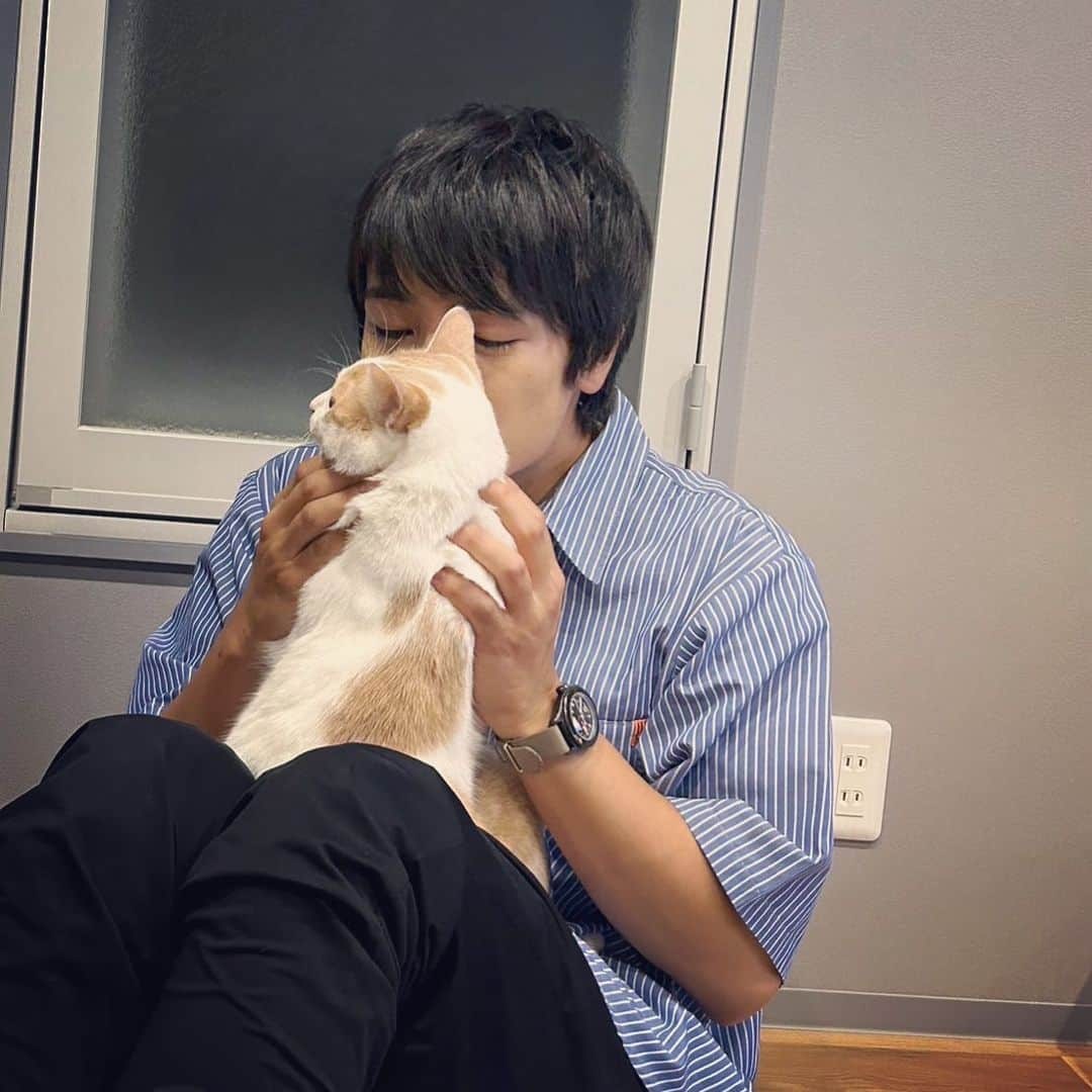 本田剛文さんのインスタグラム写真 - (本田剛文Instagram)「猫を吸引する男・・・・。  #猫 #猫好きさんと繋がりたい #ねこすたぐらむ  #猫吸い #UNIVERSALOVERALL #ボイメン #本田剛文」8月14日 22時06分 - boymen_honda