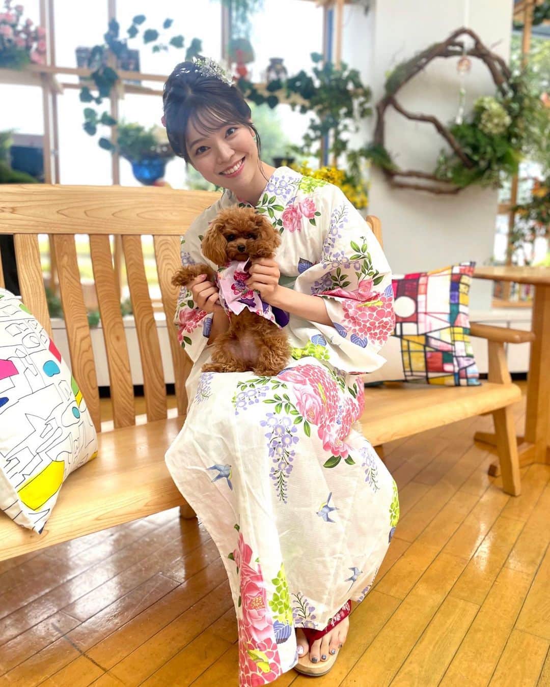 のインスタグラム：「🐶👘 実はサタファンファミリーのビビも 一緒に浴衣でした🐾🥰  抱っこするとすりすりしてくれて もう、、、たまらなく愛おしいです💗  #放送の裏側 #ティーカッププードル🐩 #サタファン#サタデーファンキーズ#いわて#めんこいテレビ#三宅絹紗」