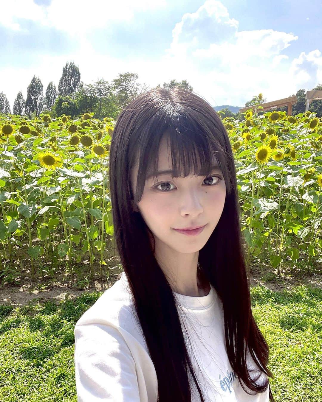 桜田彩叶のインスタグラム：「ちょっと前に向日葵見に行ったよ〜 🌻  日光強すぎて、写真の色味が全部おかしなことになってました ( °_° ) けどめっちゃ綺麗だったのでよし！   #アイドル  #nmb48 #向日葵畑  #向日葵  #白tコーデ  #epine」