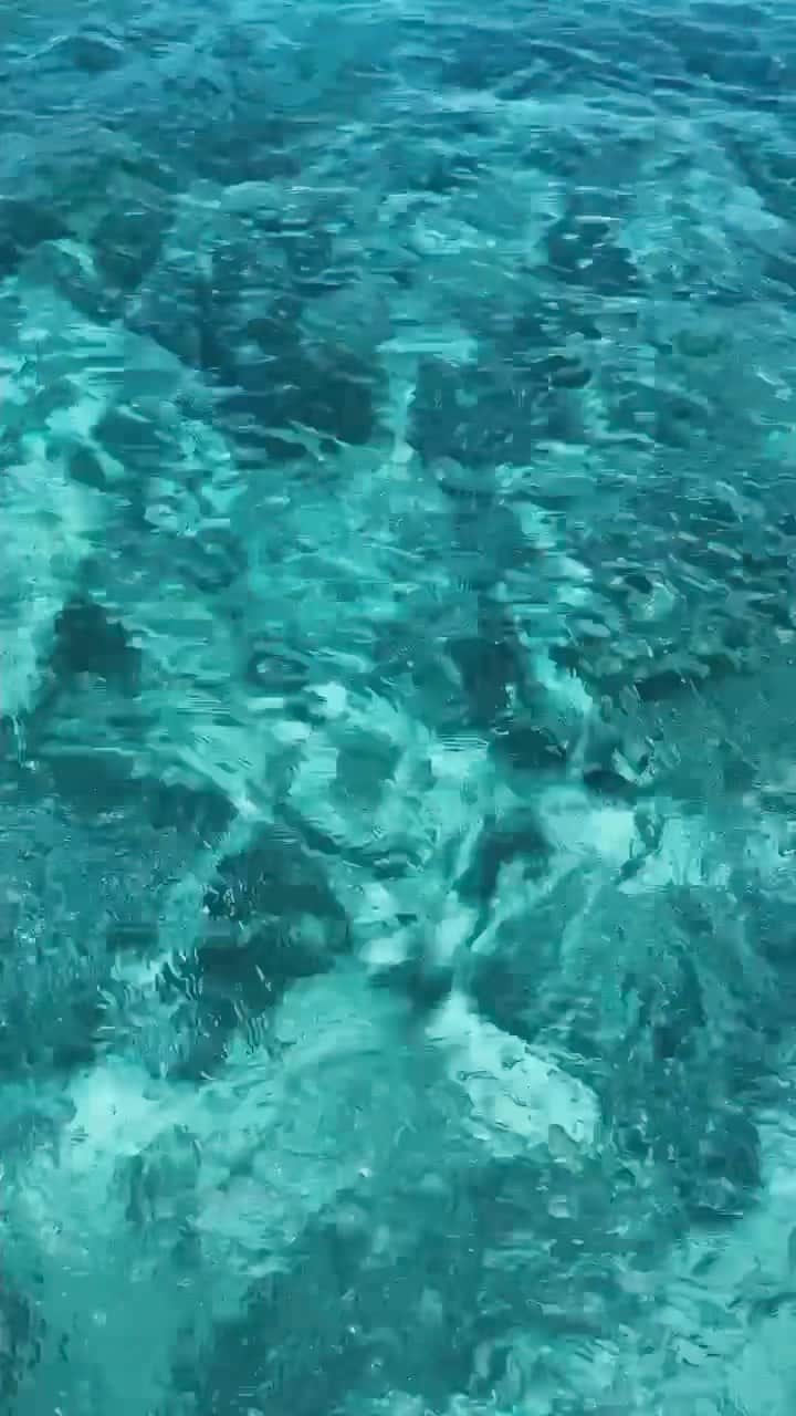 リュプカ・ゴイッチのインスタグラム