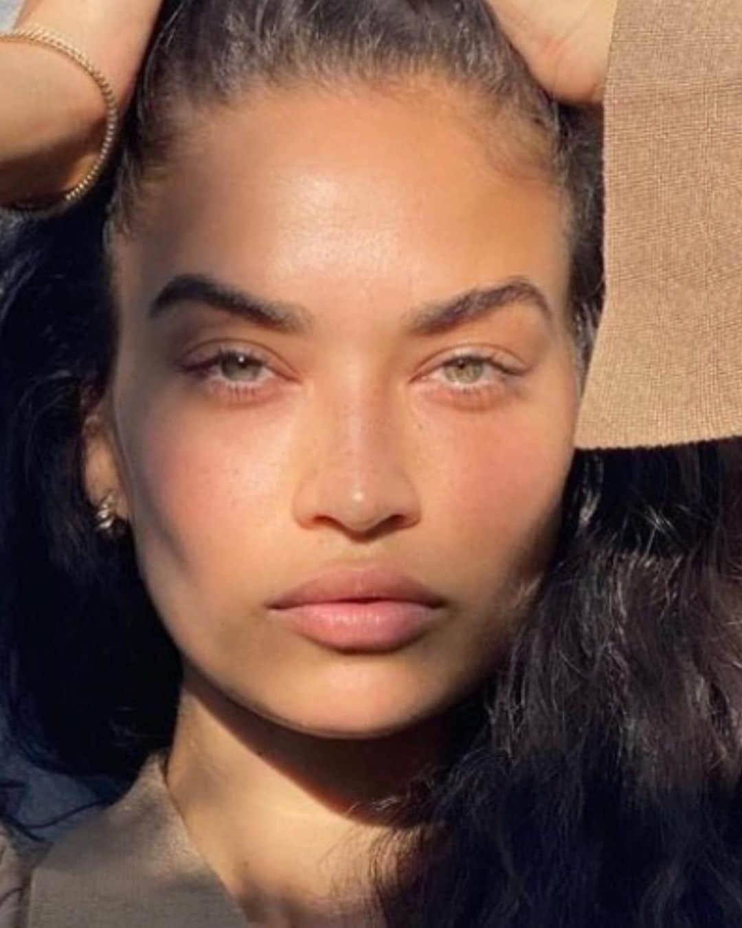 シャニーナ・シャイクのインスタグラム：「do you face sculpt ?」