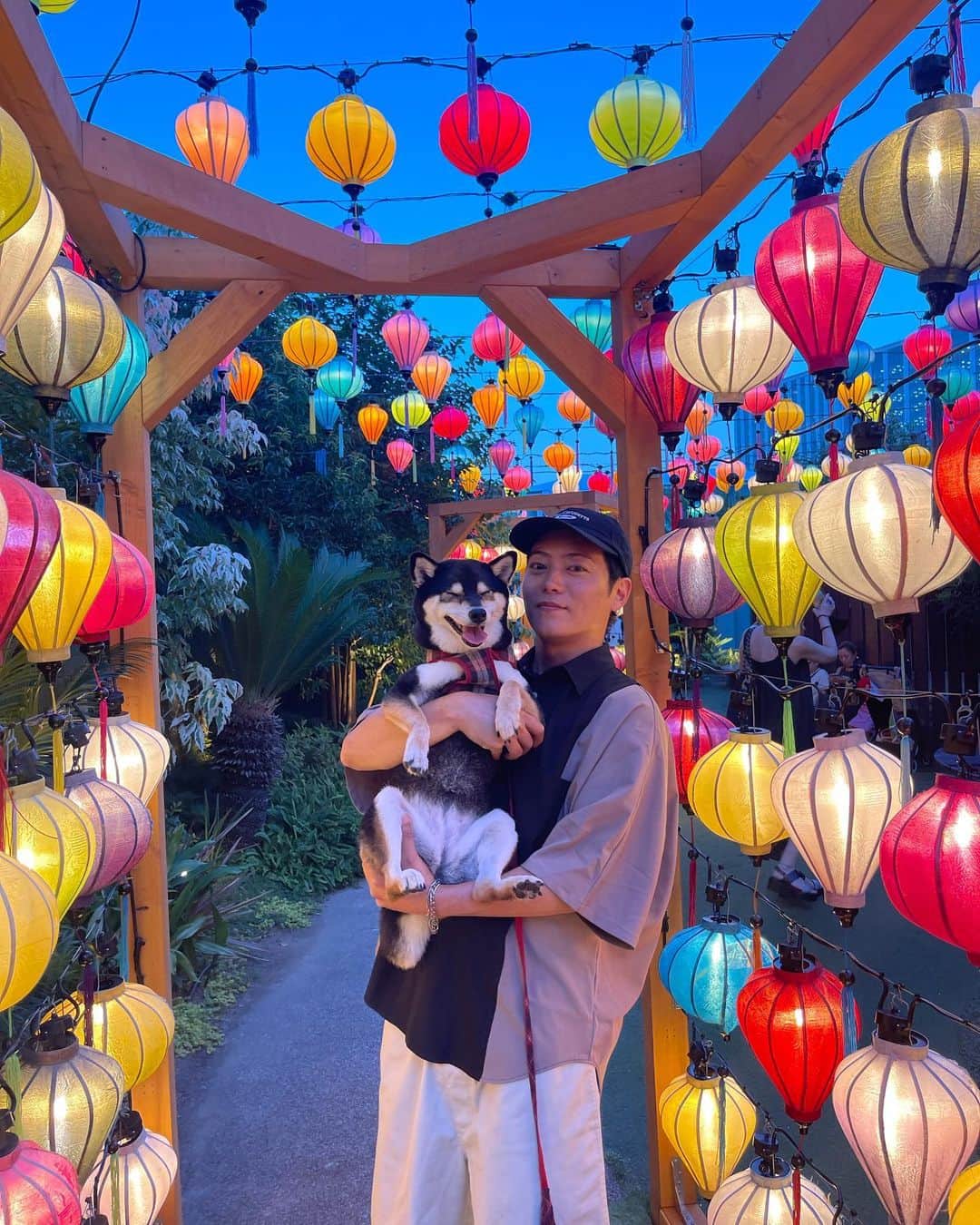 山口大地のインスタグラム：「娘もご満悦でこの表情🐕  #犬のいる暮らし #犬 #柴犬 #柴 #黒柴 #dog #shiba #shiken #shiba #thedailyshibainu #shibainu #mameshiba #ちゃちゃ #ちゃちゃ姫　#ちゃちゃスタグラム」