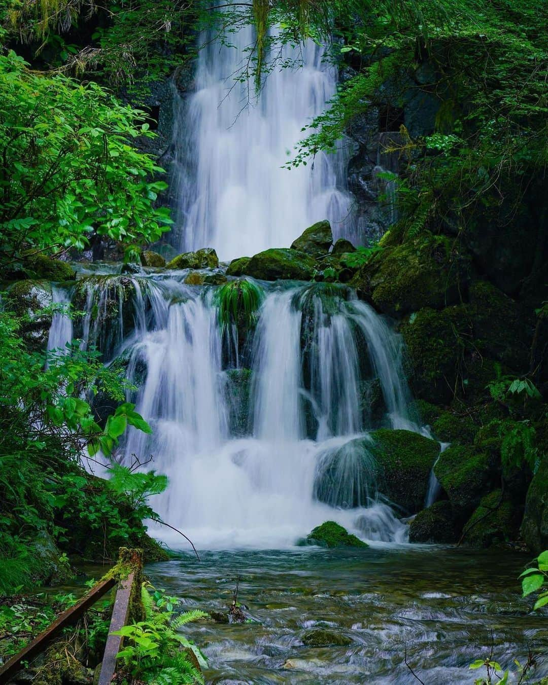 Promoting Tokyo Culture都庁文化振興部のインスタグラム：「Hossawa Falls in Hinohara Village 🏞 At 60 metres high and consisting of four stages, this waterfall is the only place in Tokyo that has been selected as one of the "100 Best Waterfalls in Japan". You can almost hear the sounds of the water from the photo!  -  東京都檜原村にある「払沢の滝」🏞 高さ60m、全4段からなるこの滝は、都内で唯一「日本の滝百選」に選定された場所です。 滝の音や水しぶきまでもが伝わってくるようですね。  #tokyoartsandculture 📸: @disk_501_  #檜原村 #払沢の滝 #hinohara #tokyonature #tokyotrip #tokyostreet #tokyophotography #tokyojapan  #tokyotokyo #culturetrip #explorejpn #japan_of_insta #japan_art_photography #japan_great_view #theculturetrip #japantrip #bestphoto_japan #thestreetphotographyhub  #nipponpic #japan_photo_now #tokyolife #discoverjapan #japanfocus #japanesestyle #unknownjapan #streetclassics #timeless_streets  #streetsnap #artphoto」