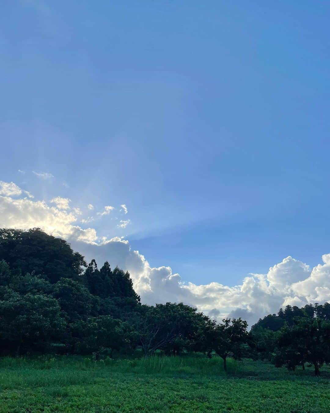 冨田有紀のインスタグラム：「． 一瞬だけ帰省🌳 大自然と茨城弁にほんのり癒され、明日から函館でお仕事頑張るゾ〜〜  #高校時代の親友と市民プールのはずが豪雨のためアウトレットへ可愛いTシャツにであえまーした #帰省」