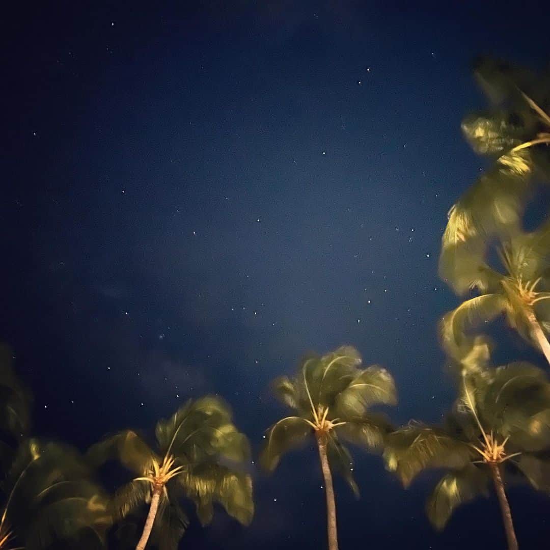 藤後夏子のインスタグラム：「🌴💫🍷」
