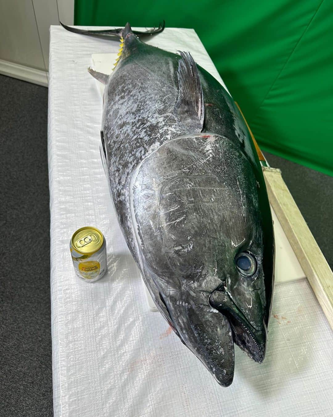 安元洋貴さんのインスタグラム写真 - (安元洋貴Instagram)「生本鮪。 美味かったなぁ。 魚は美味い。好き。」8月15日 0時10分 - __yasumoto__