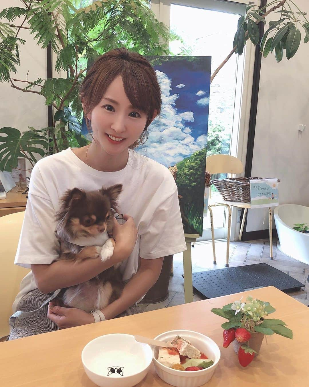 花清まゆこさんのインスタグラム写真 - (花清まゆこInstagram)「今回の軽井沢旅行でも、  軽井沢に行った時には、一度は行きたいお店🍽️ @atterrace_karuizawagardenfarm に、行って来ました🐶✨  今回は、なんと！ お店の看板犬✨たまちゃん✨ （たまさぶろうくん12歳） がお出迎えしてくれました🥰  スタンダードプードル🐩❤️ 中に人がはいってそうなサイズ感😆 人懐っこくて、可愛すぎでした😍😍  肝心のロアちゃんは、、、  緊張しすぎて抱っこ虫😅 それでも、吠えずに、私のそばからたまちゃんをこっそり眺めてました😆  可愛すぎるたまちゃんの接客に（笑） あっという間に時間が過ぎてしまった🥰  また来年行けたらいいなぁ❤️  #atterace_karuizawagardenfarm  #アットテラス  #アットテラス軽井沢  #アットテラス軽井沢ガーデンファーム  #ドッグカフェ #dogcafe  #dog #軽井沢  #軽井沢カフェ  #軽井沢ランチ  #スタンダードプードル  #看板犬 #看板犬のいるお店  #チワワ #チョコタンチワワ  #犬のいる暮らし  #犬と旅行  #軽井沢旅行」8月15日 0時33分 - mayuusa610