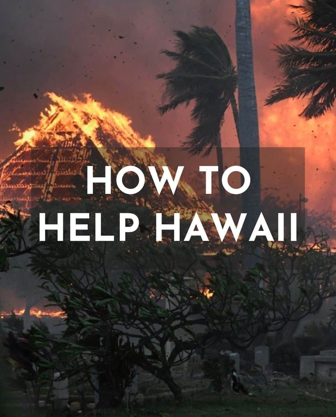 アンバー・タンブリンのインスタグラム：「The wildfires currently raging in Lahaina on the island of Maui are not only the deadliest in Hawaiian history but the deadliest in the U.S. since 1918. Ninety-six people have been killed with that toll growing and thousands of people displaced or missing. Sacred artifacts and locations have been destroyed, homes have been leveled, and a community is devastated. If you’re able, please donate something to help support the efforts to rebuilding Maui. Whatever you can give, whether that’s financial support, donating supplies, or sharing resources online. For more ways to help, visit the link in my bio for a Maui mutual aid guide and additional resources by @mauirapidresponse.」