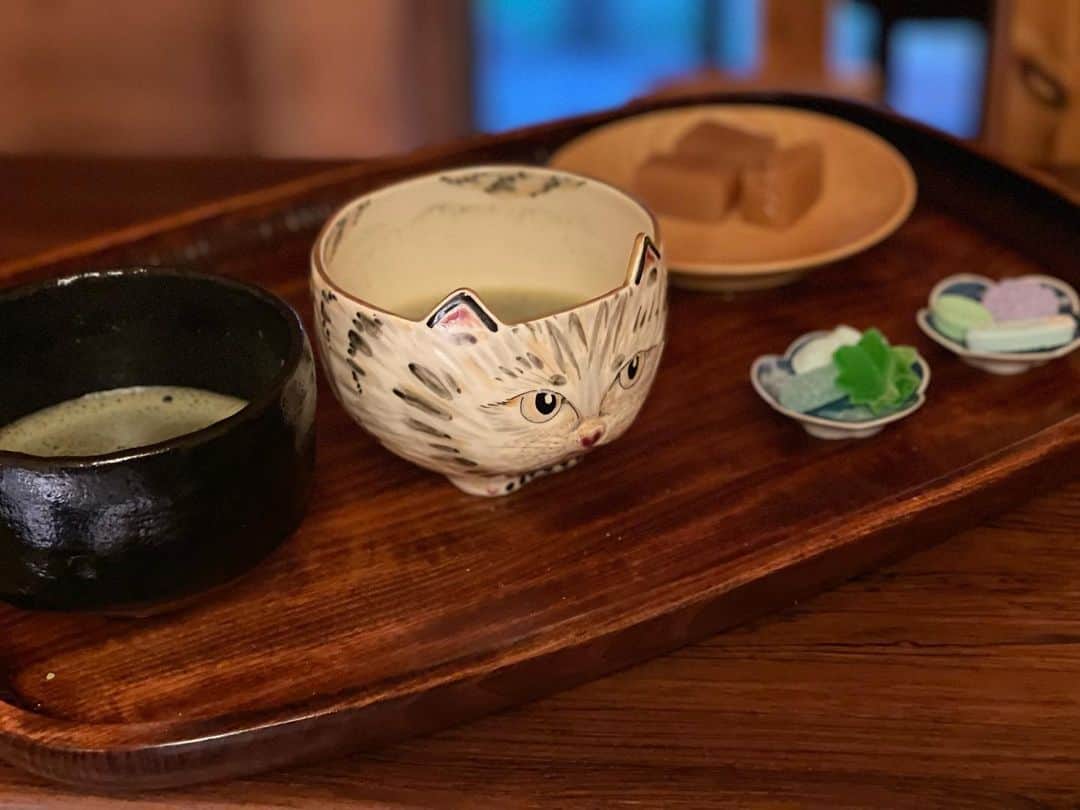 三浦瑠麗のインスタグラム：「盆提灯が灯る。妹がくれた猫抹茶碗に、いただきものの干菓子と羊羹でお茶。 Love you guys ; )」