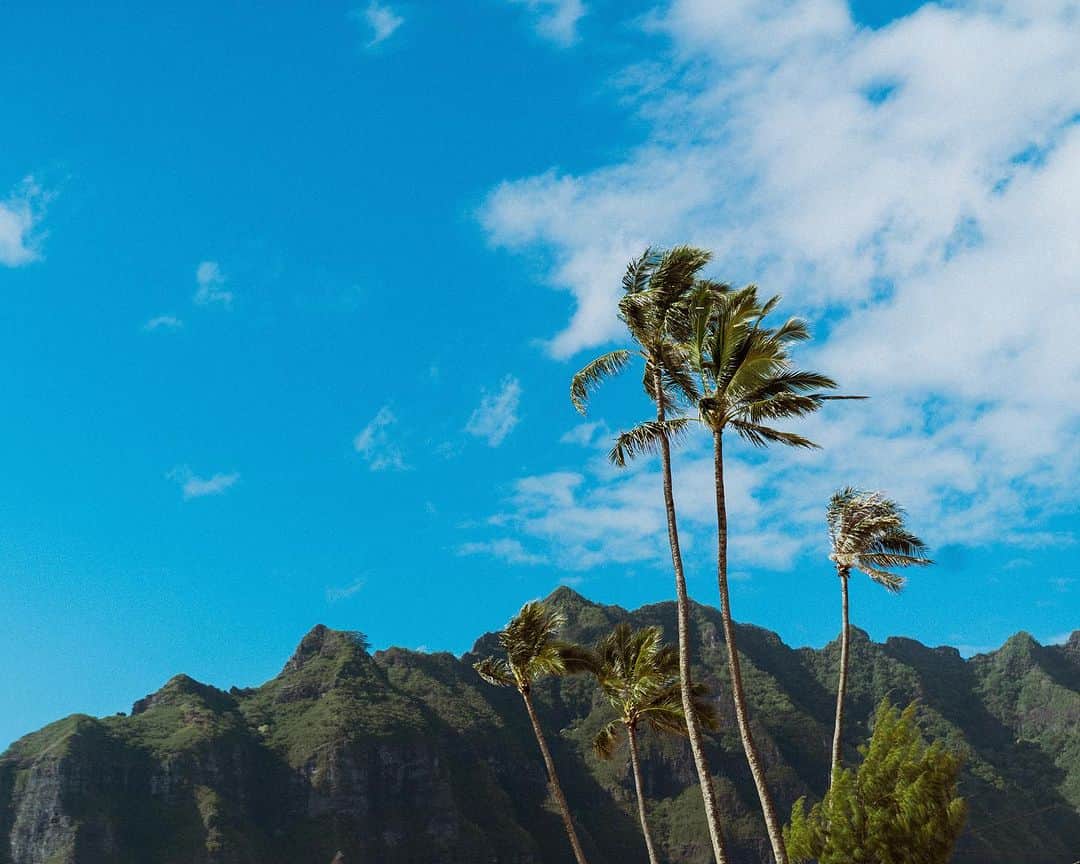 ボディーグローブさんのインスタグラム写真 - (ボディーグローブInstagram)「Help Maui 💔 One of our favorite photographers, @mattaleong, along with many other amazing creatives have come together to collect some of their beautiful work to raise funds for Maui. 100% of proceeds will go towards Maui relief ❤️ The link is in our bio.」8月15日 3時08分 - bodyglove