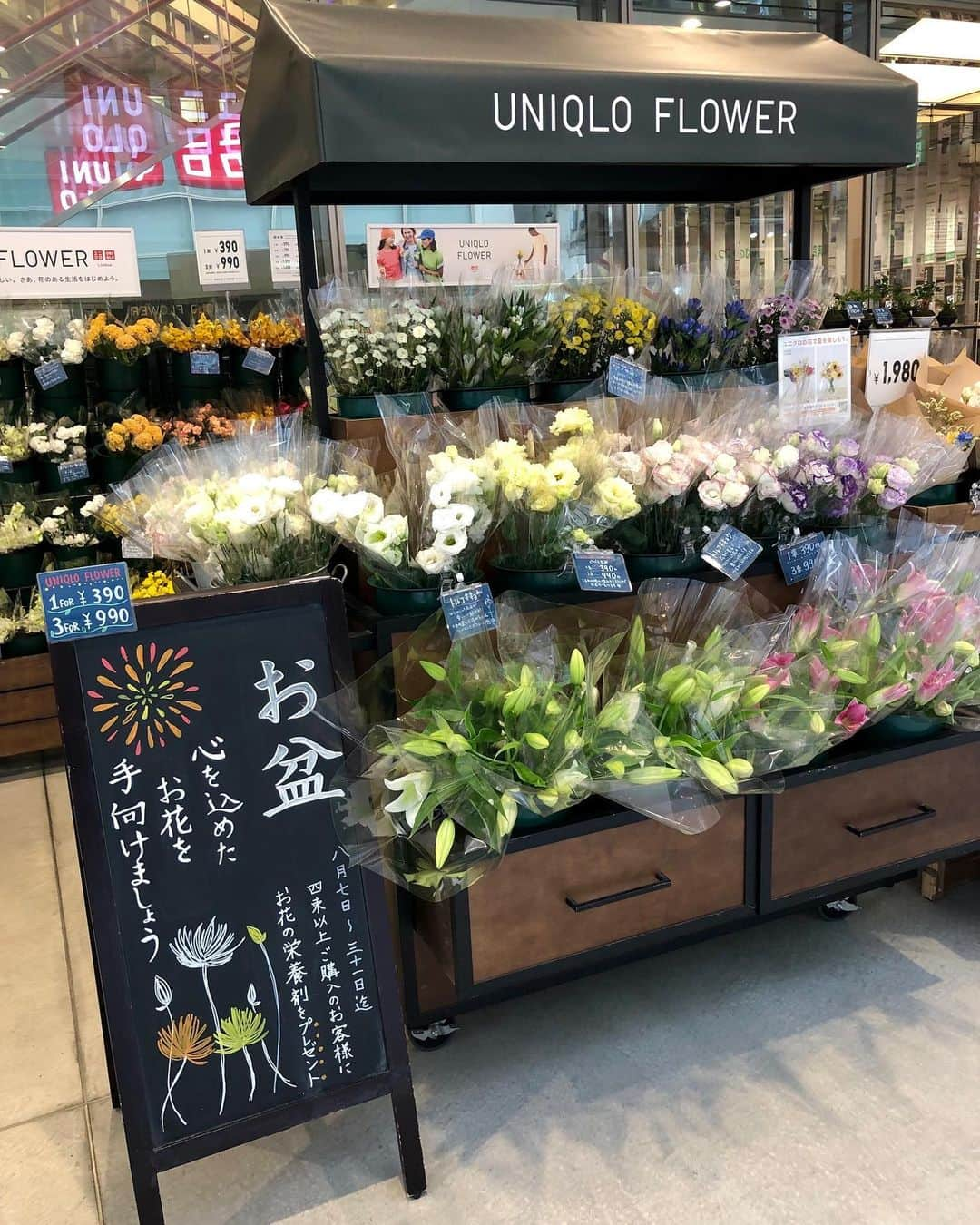 ユニクロ 銀座店さんのインスタグラム写真 - (ユニクロ 銀座店Instagram)「【UNIQLO FLOWER 今なら栄養剤プレゼント】 ユニクロ銀座店店内後方すずらん通り口では、ユニクロフラワーを販売中🌻  8月7日から31日までの期間中、4束以上お買い上げのお客様へ、お花が長持ちする栄養剤をプレゼント致します。 この機会に花のある生活始めませんか☺️ ユニクロフラワーでスタッフ一同お待ちしております。  ※プレゼントは対象商品購入に限ります。 ※店舗とオンラインストアで、プレゼントの条件・内容が異なります。 ▶︎オンラインストア 対象のラウンドブーケ¥1,990をお買い上げのお客様 ▶︎店舗 4束以上お買い上げのお客様 ※栄養剤の使用・製品に関する質問等は、パッケージ裏面記載のメーカーへ問い合わせ下さい。 ※プレゼントの同梱がされていなかった、破損していた場合はお手数ですがユニクロオンラインストアカスタマーセンターへお問い合わせ下さい。  #ユニクロフラワー#uniqloflower#銀座花屋#uniqlo#uniqloginza#観葉植物#花のある暮らし#季節のお花#ユニクロ銀座#銀座」8月15日 12時57分 - uniqlo_ginza