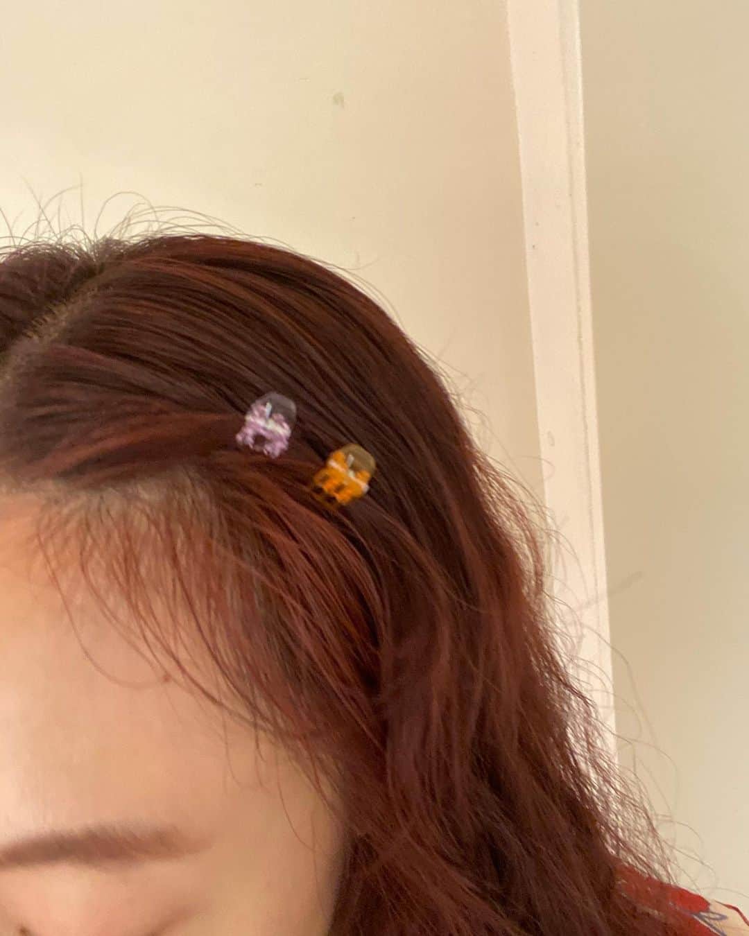 Nana Ninomiyaのインスタグラム：「1. PLAZAで買ったミニヘアクリップ、かなり脆くてすぐ折れるけどたっくさん入ってたのでまあok! 2-3. @hey_mrs_rose の犬クリップ！モチーフ4種あってどれにしようか迷ってたけど、犬が一番しっくりきてこちらに🐕意外と馴染むし合わせやすい笑 4. ダイソーのクリップ、やや大きめサイズ！安定〜〜」
