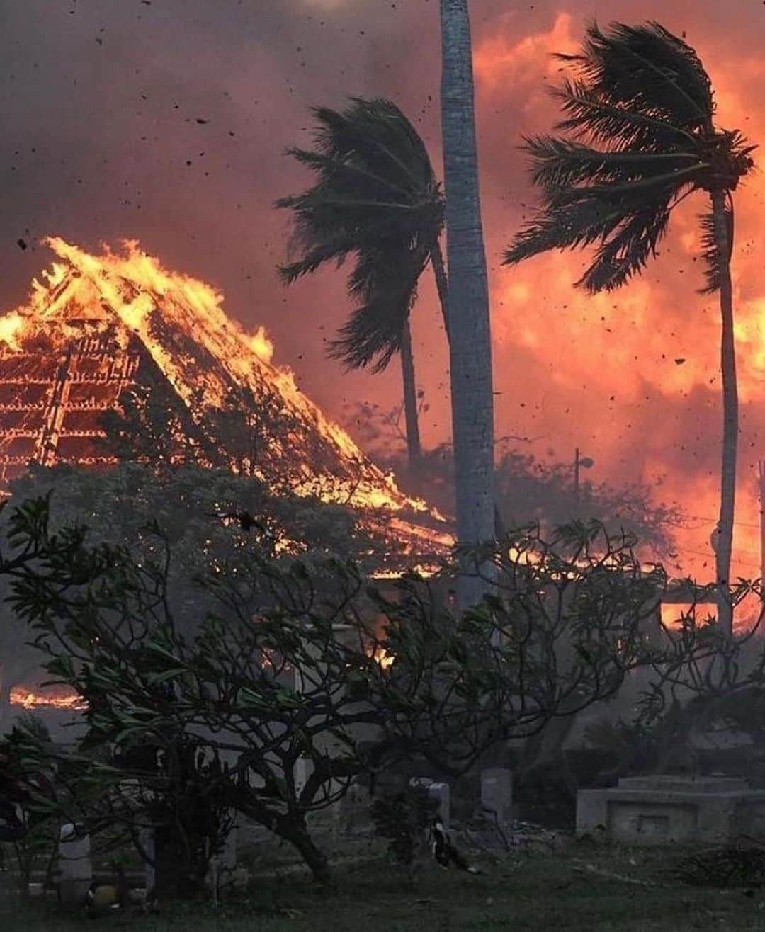 ベラ・ハディッドのインスタグラム：「My heart breaks for magical Hawaii& people of Maui who were impacted by the devastating wildfires last week. This land needs to be protected and loved, let us come together and help in any way we can to rebuild. I am thinking of the families who have lost loved ones, and are mourning the loss of their beautiful home.   “Six wildfires erupted on the Hawaiian island of Maui on Tuesday, August 8. The fires took Maui by surprise, fueled by a dry summer and strong winds from the passing Hurricane Dora. As of August 13, authorities have confirmed that the death toll has risen to 96, with nearly 1,000 still reported missing, making it the deadliest wildfire in the U.S. in the past century.“  I’ve put together some reliable sources to donate&support  ○ The Maui Strong Fund was created to provide community resilience with resources for disaster preparedness, response, and recovery. The fund is currently being used to support communities affected by the wildfires on Maui and is collaborating with Maui County Mayor Bissen, state leaders, and nonprofit organizations to assess the evolving situation and the priorities needed to support Maui residents at this time. ○ Maui Food Bank’s mission is to help the hungry in Maui County by collecting and distributing food through community partnerships. It is currently providing disaster relief. ● Maui Fire Relief Fund: Maui United Way ○ Maui United Way is a nonprofit charitable organization focused on supporting vital non-profit organizations and programs that directly impact the community’s quality of life. ○ The Lāhui Foundation is a non-profit organization in Ko'olauloa Hawai'i that strives to become a dependable resource for underrepresented and underserved communities in Hawai'i. Donations will go directly towards fire recovery efforts for residents of Maui. ○ Grassroots monetary fund that is being distributed quickly to vulnerable residents in need. ○ The Maui Mutual Aid Fund is supporting Maui residents, people with disabilities, elderly residents and people who are uninsured or underinsured. ○ The Aloha United Way has created the Maui Relief Fund that will go directly to efforts supporting victims of the fires.」