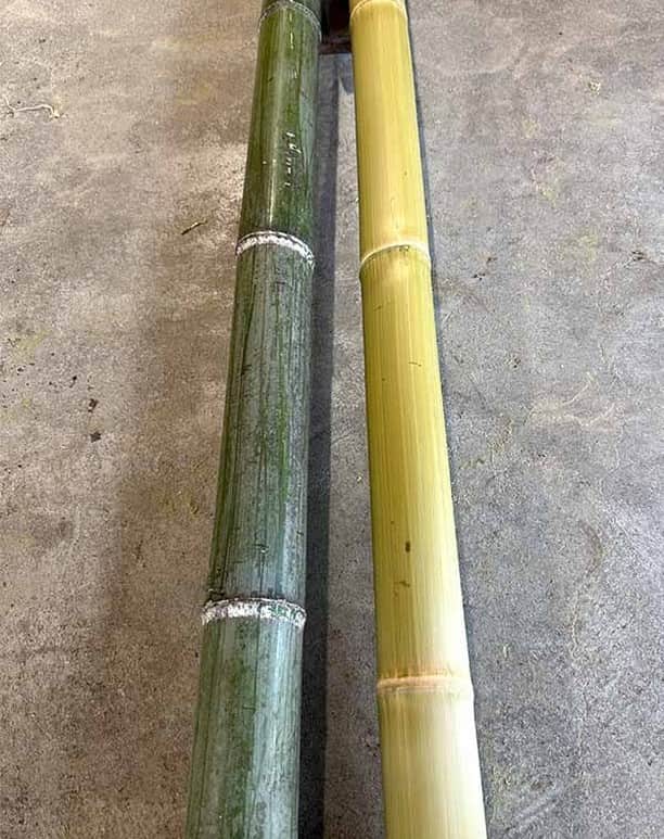 竹虎さんのインスタグラム写真 - (竹虎Instagram)「夏休み前から取り掛かっている真竹磨き衣装籠。良質の真竹は、品質管理のため寒い季節にしか伐採せず保管してあるので、今頃の季節になると作ったばかりでも春先の青さはなくなって、若干落ち着いた色合いです。 . しかし、それでも瑞々しさは残っているので、連休中は高温になる工場を避けて湿気のない所に移動させて毎日気にかけてます。どうしてか？もう今年の材料がないからです(笑)。 . #竹虎 #虎斑竹専門店竹虎 #山岸竹材店 #竹虎四代目 #TAKETORA #竹製品 #竹細工 #竹工芸 #竹 #basket #japan #bamboo #bamboocraft #interior  #籠 #かご #エコ #インテリア #収納 #衣装籠 #バスケット #日々の暮らし #青竹 #竹のある暮らし #真竹 #磨き細工 #ランドリーバスケット #脱衣籠」8月15日 8時26分 - taketora1894