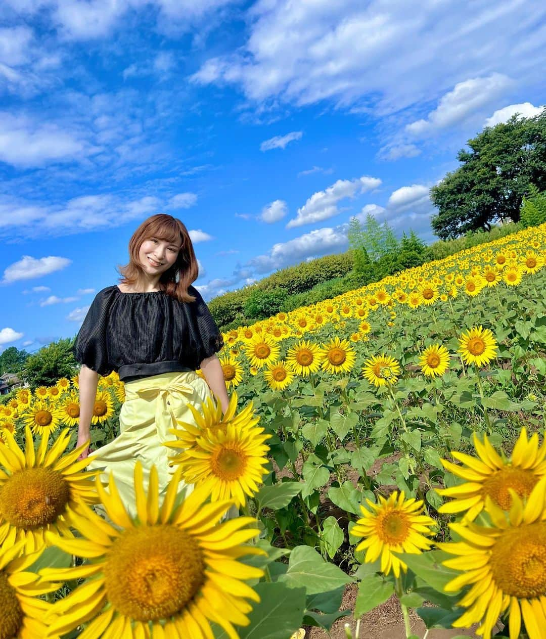 颯希有翔のインスタグラム：「🌻🌻🌻  退団記念日💛 人生一度きり！これからも私らしく…🫶 今後もどうぞあたたかく見守ってください🌙  #ひまわり畑 #ひまわり #退団記念日 #宝塚 #月組  #ありがとう」